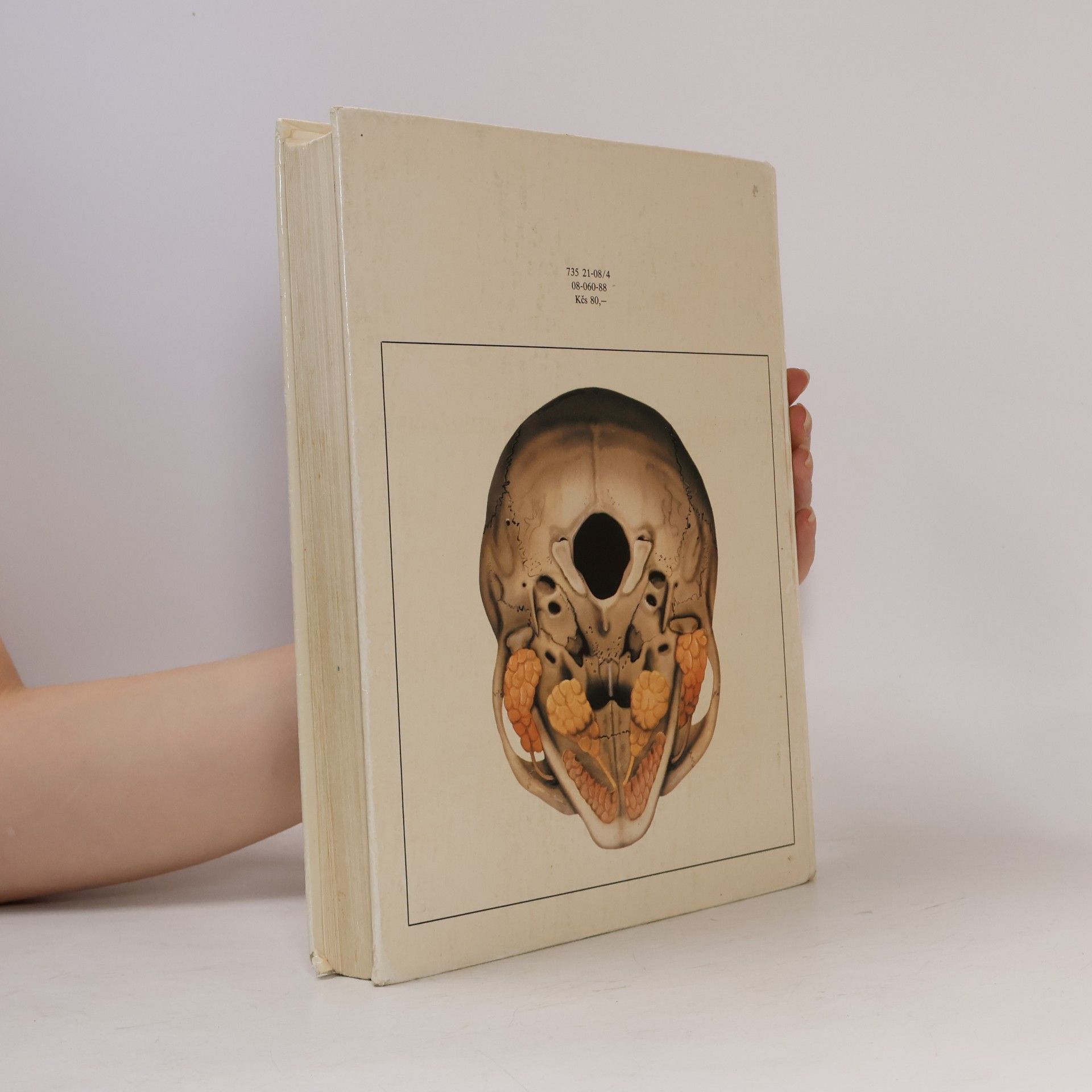 Radomír Čihák Anatomie 2