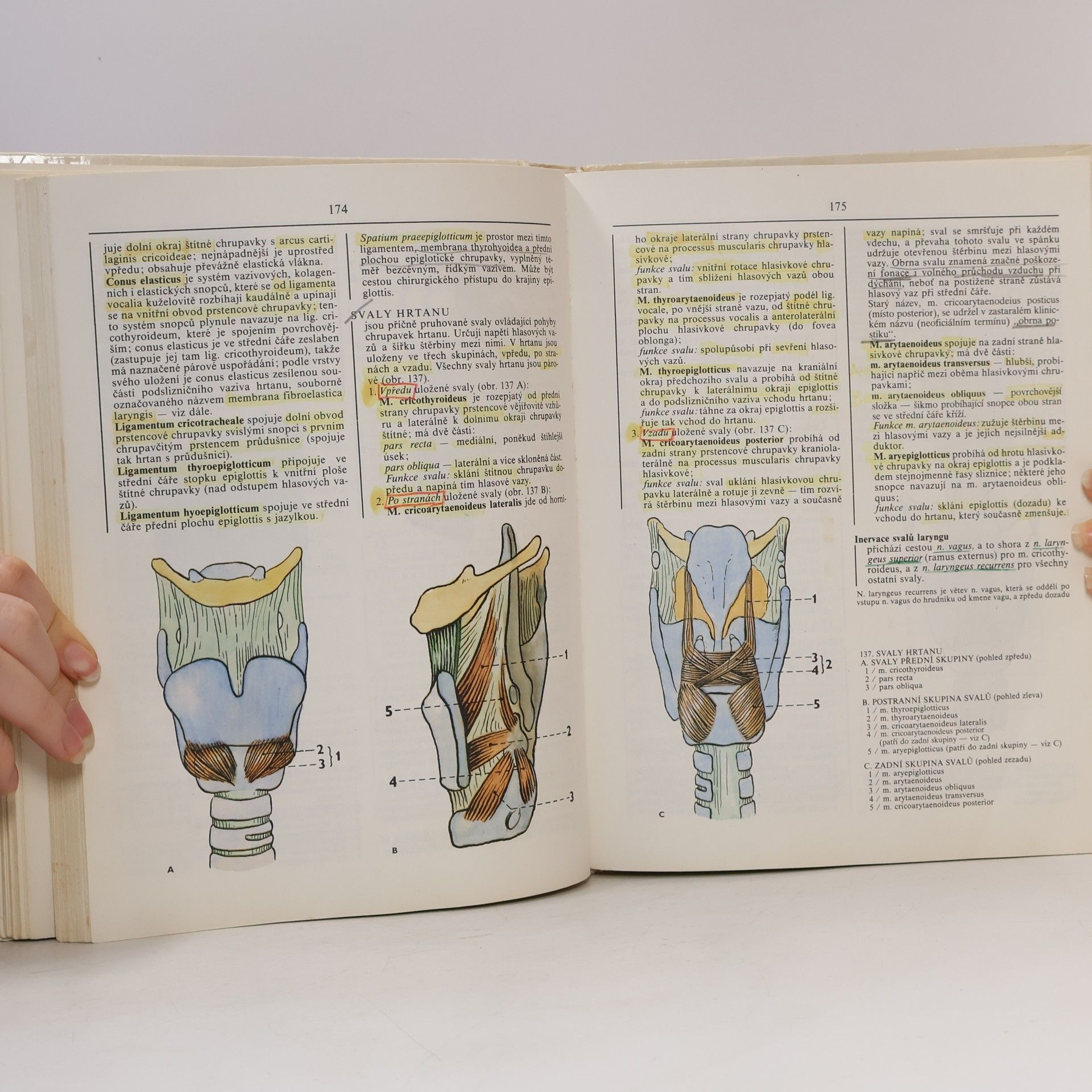 Radomír Čihák Anatomie 2