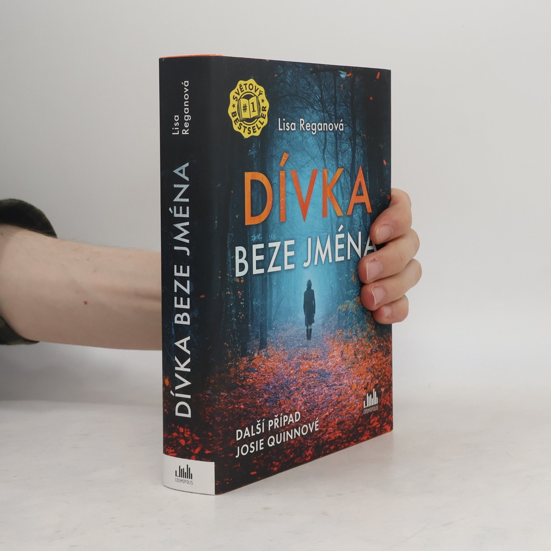 Lisa Regan Dívka beze jména: Další případ Josie Quinnové