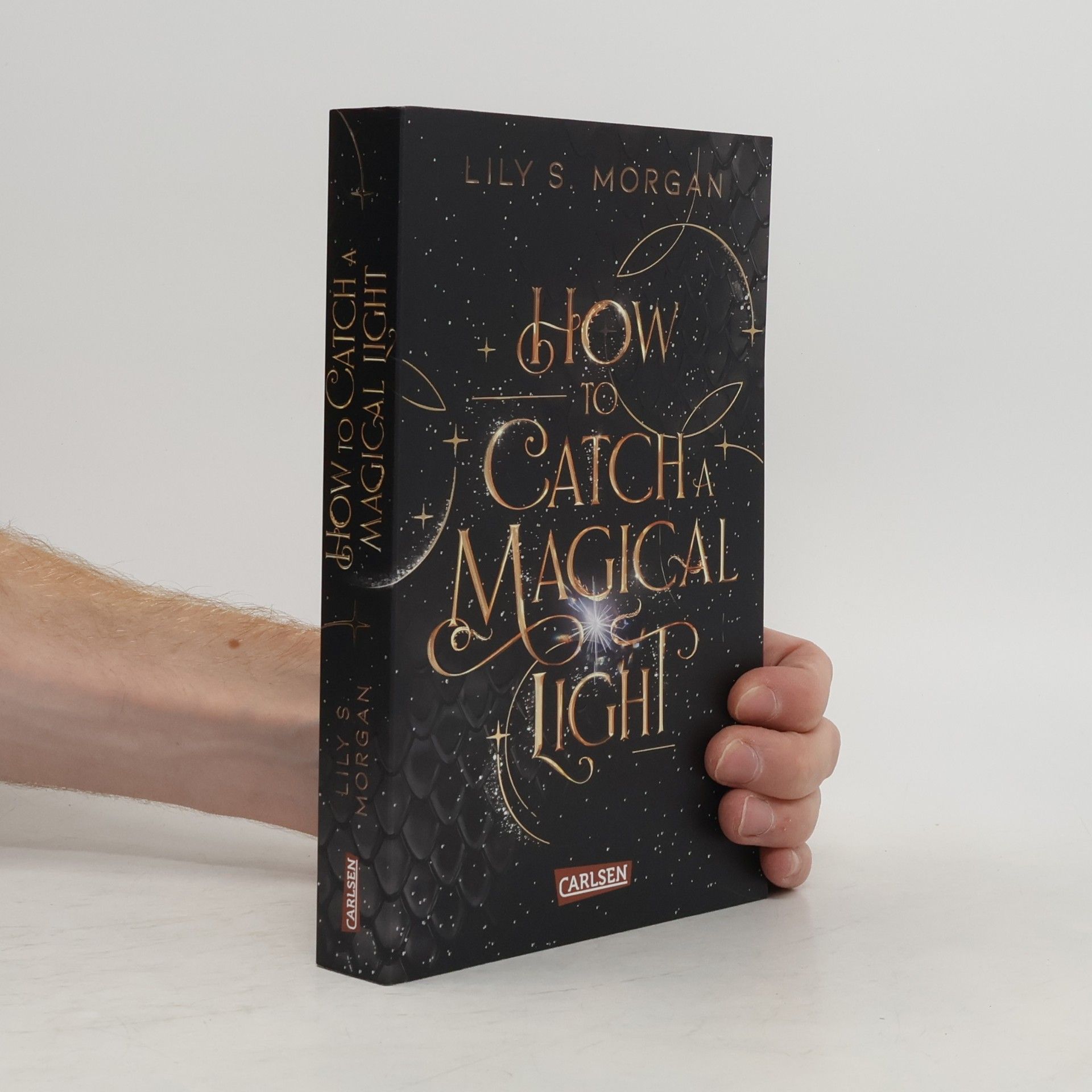 Lilly S. Morgan How To Catch A Magical Light / New York Magics Bd.1