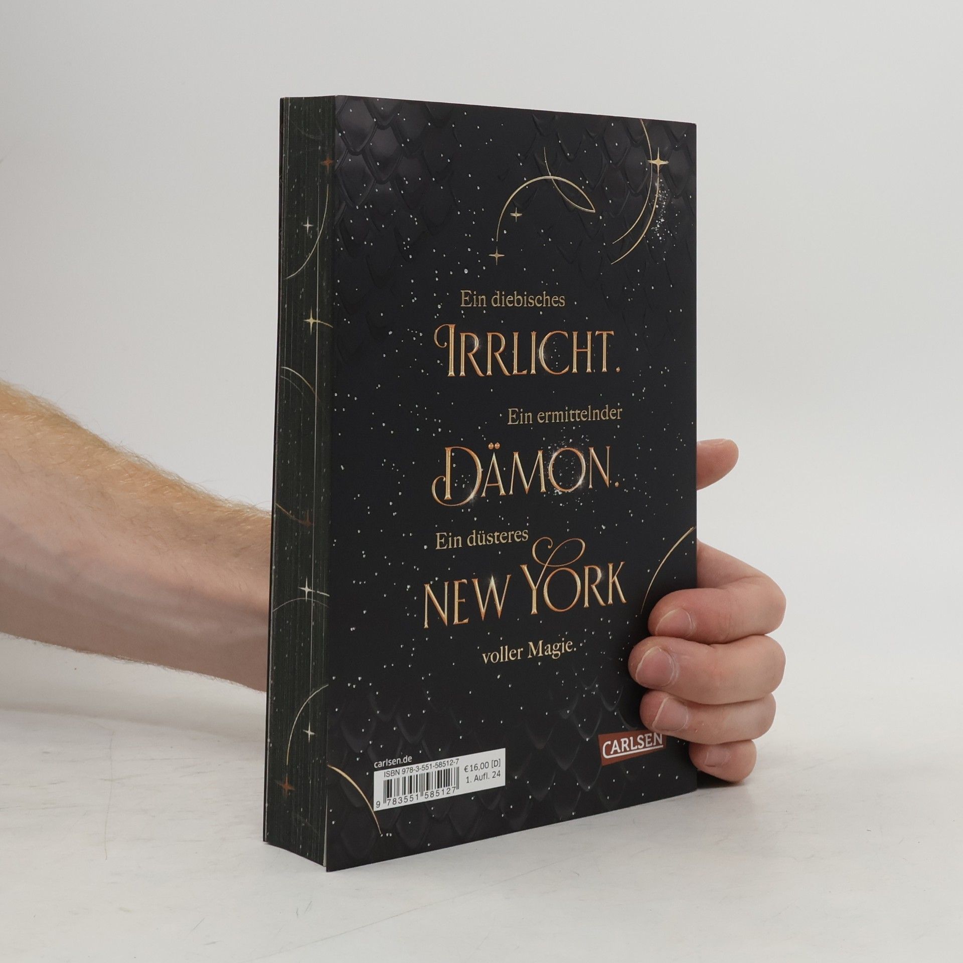 Lilly S. Morgan How To Catch A Magical Light / New York Magics Bd.1