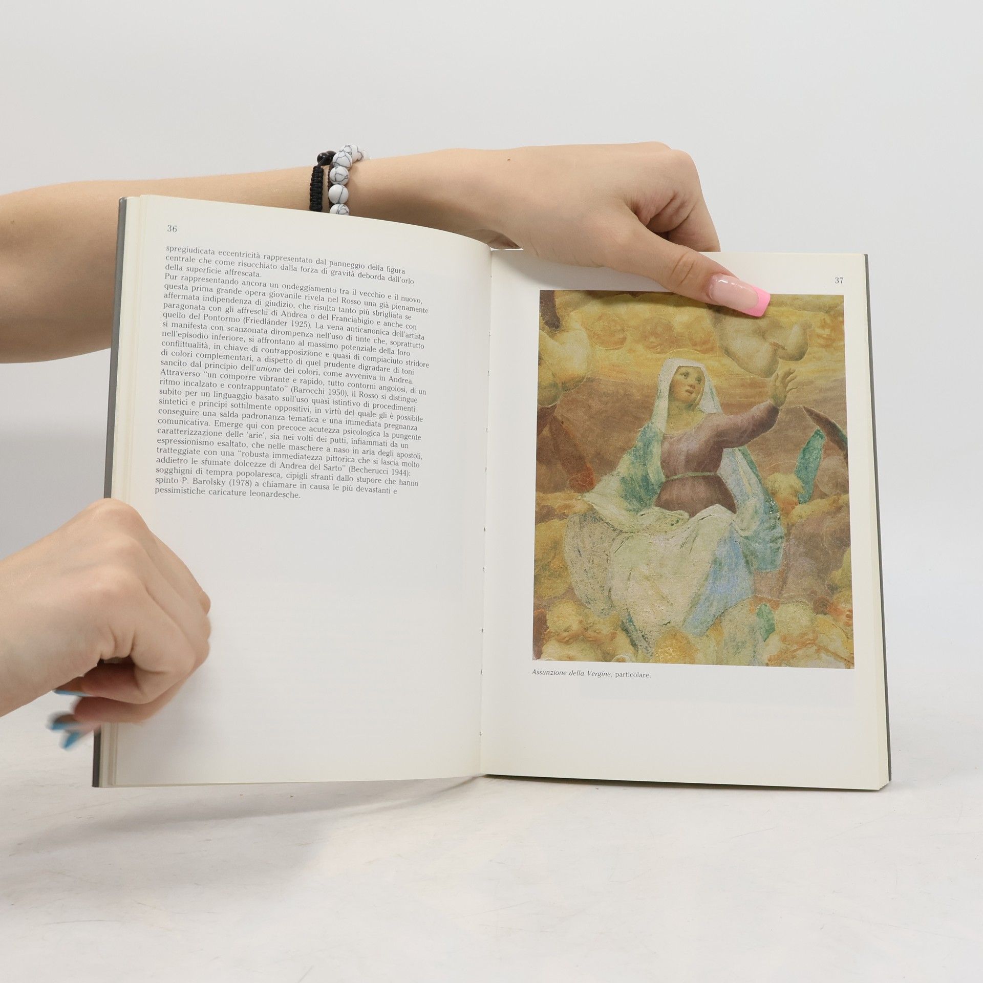 Roberto Paolo Ciardi I Gigli dell'arte - 20: Rosso Fiorentino