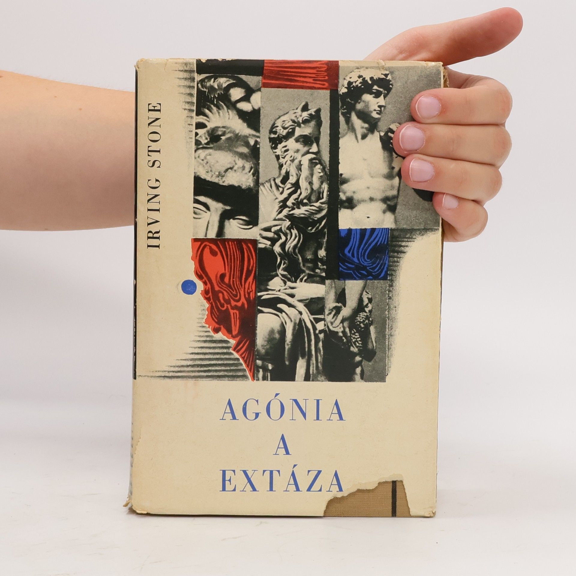 Irving Stone Agónia a extáza