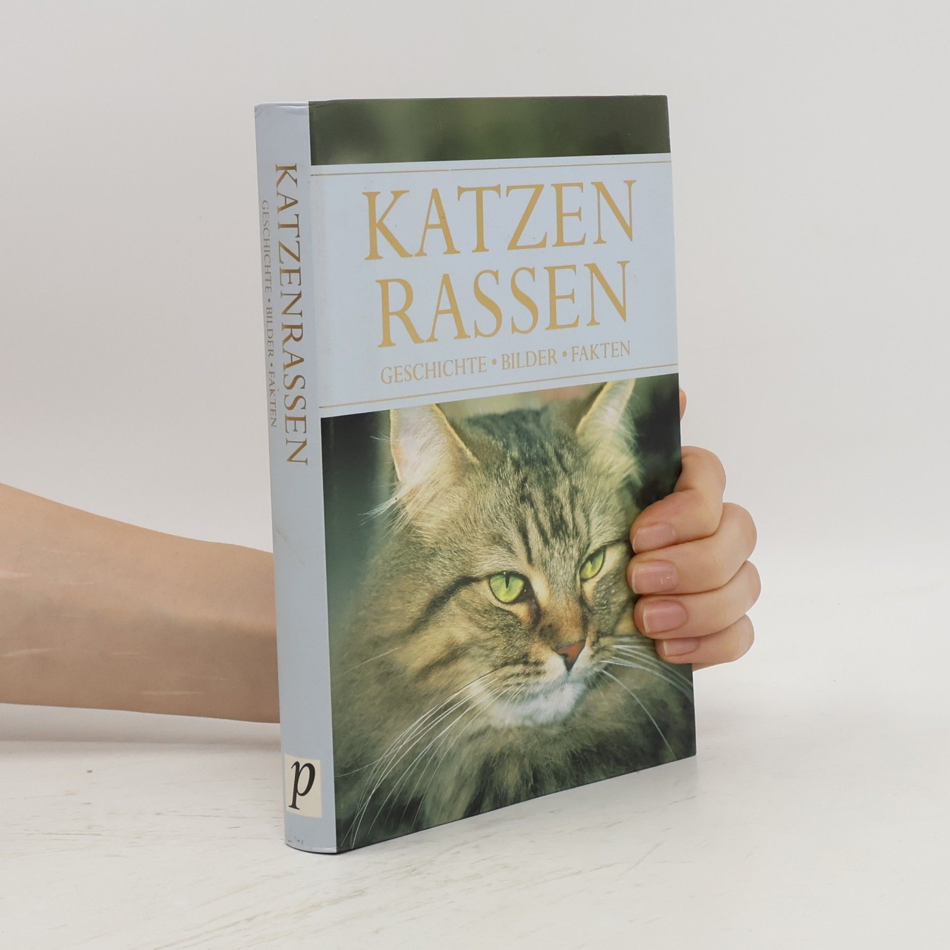 Autorenkollektiv Katzenrassen
