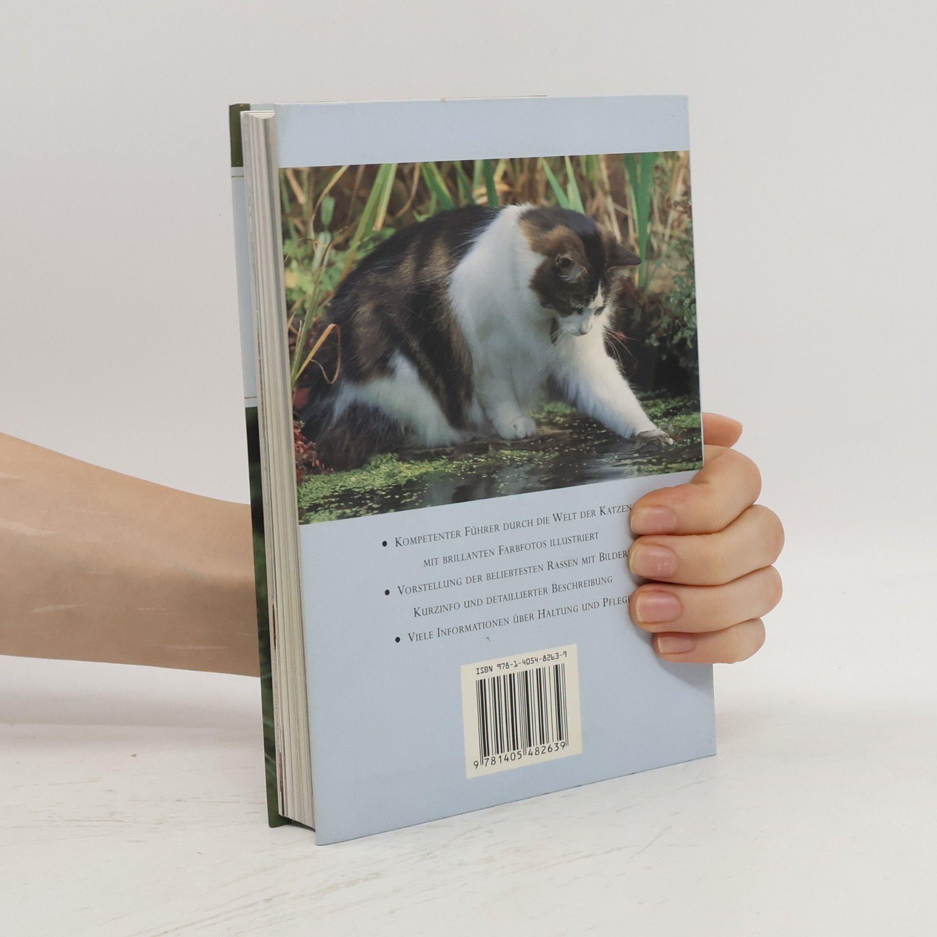 Autorenkollektiv Katzenrassen