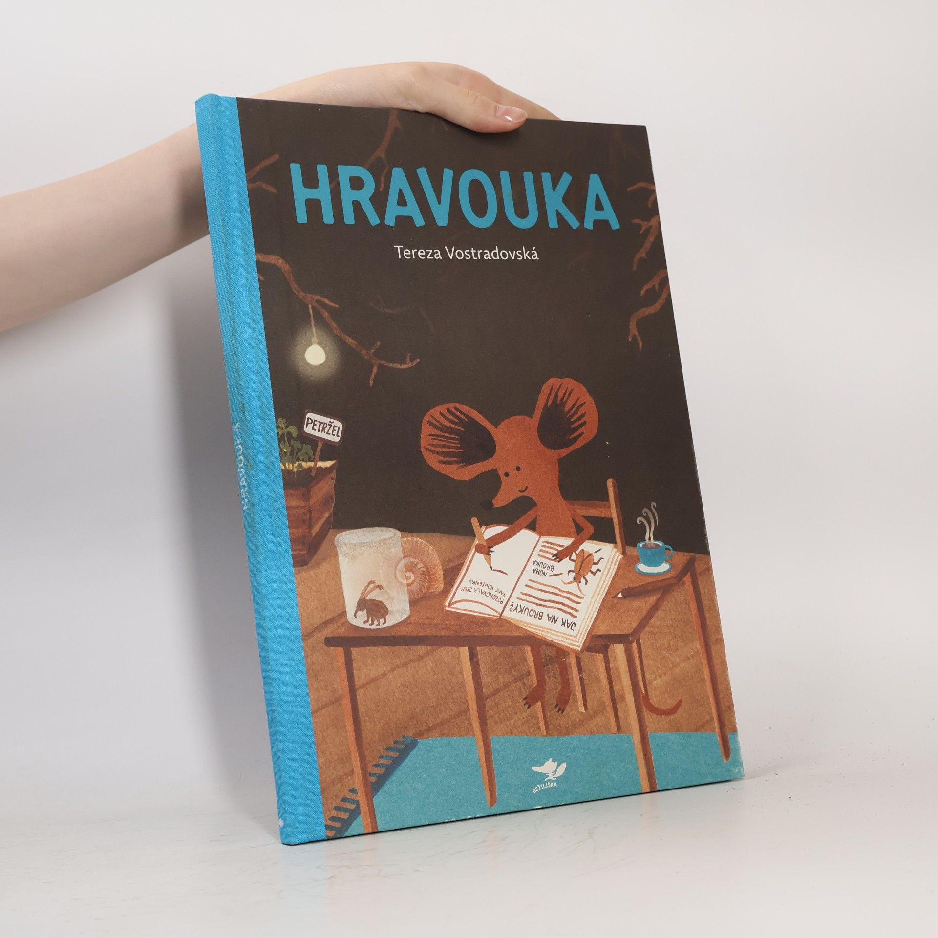 Tereza Vostradovská Hravouka