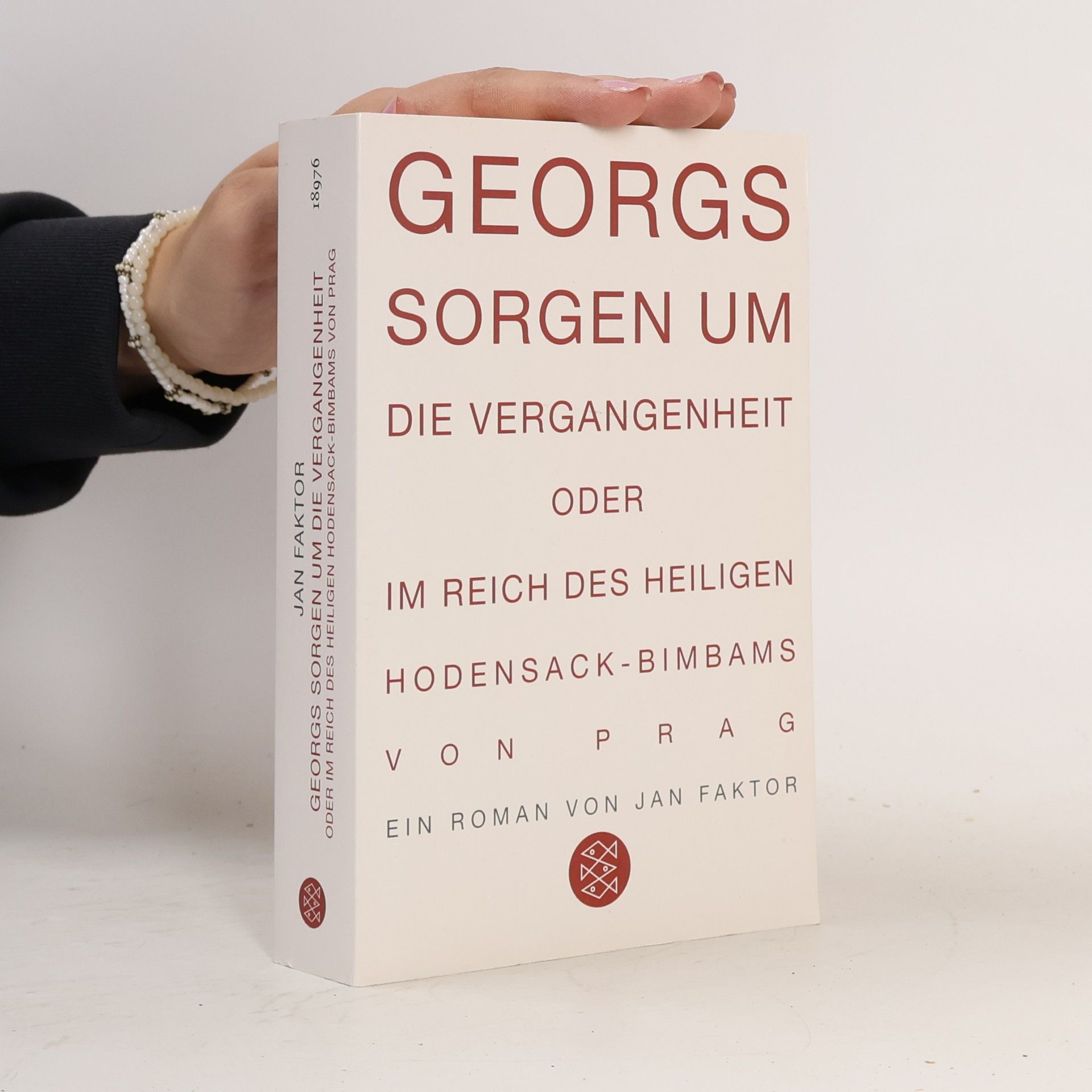 Georgs Sorgen um die Vergangenheit oder Im Reich des heiligen Hodensack-Bimbams von Prag. Roman