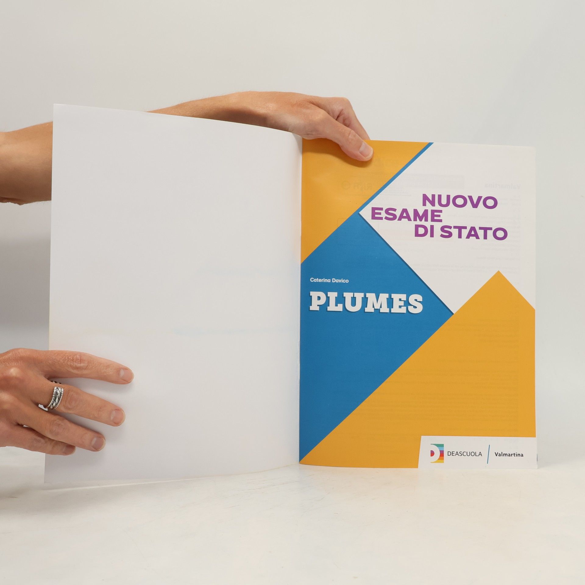 Caterina Davico Nuovo esame di stato. Plumes