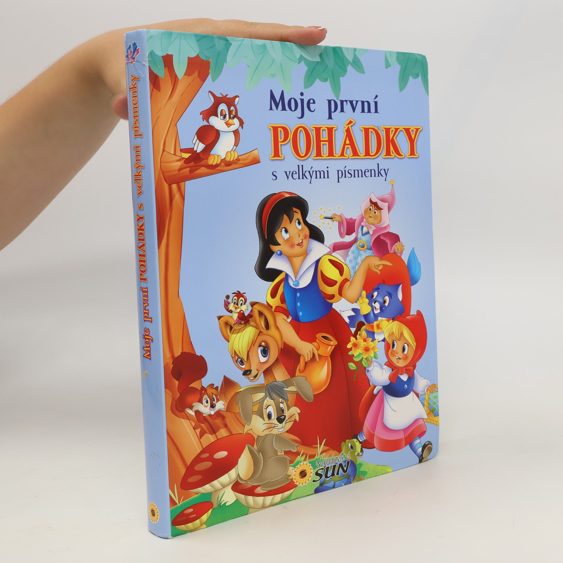 Autores varios Moje první pohádky s velkými písmenky