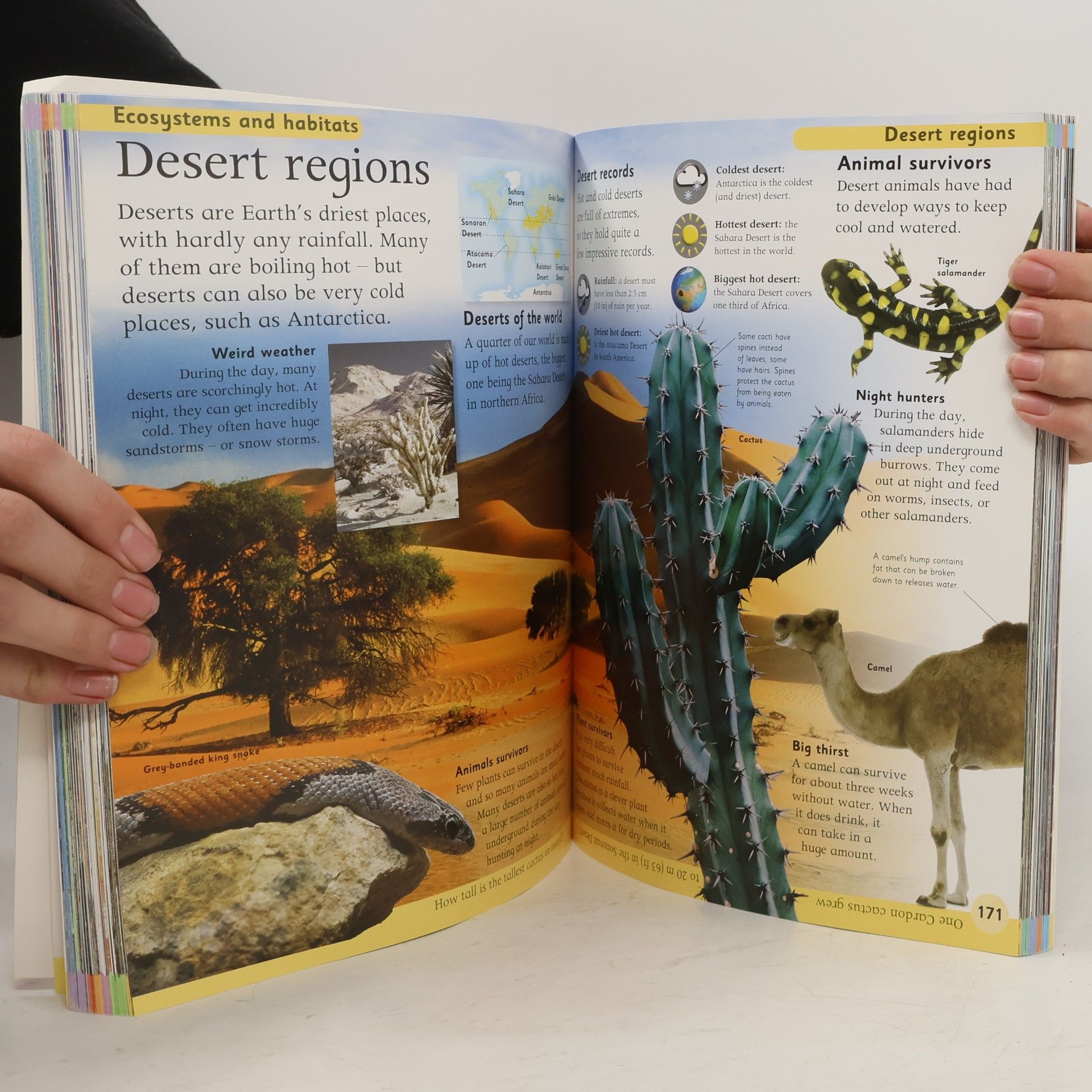 Penny Smith First Children's Encyclopedia