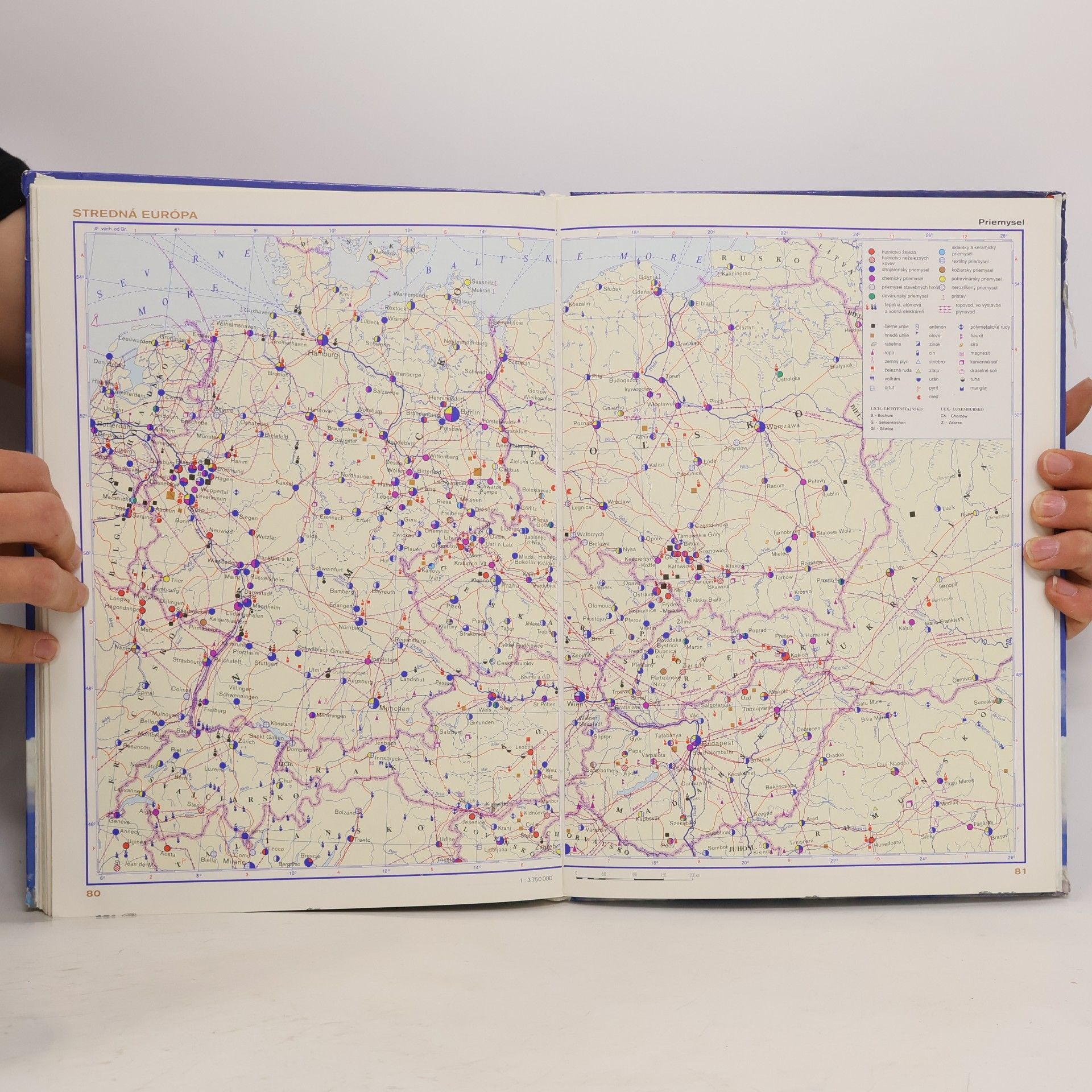 Autorenkollektiv Školský atlas sveta