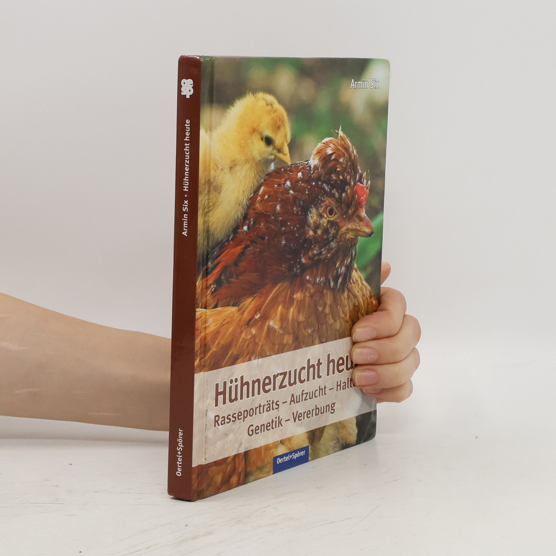 Armin Six Hühnerzucht heute