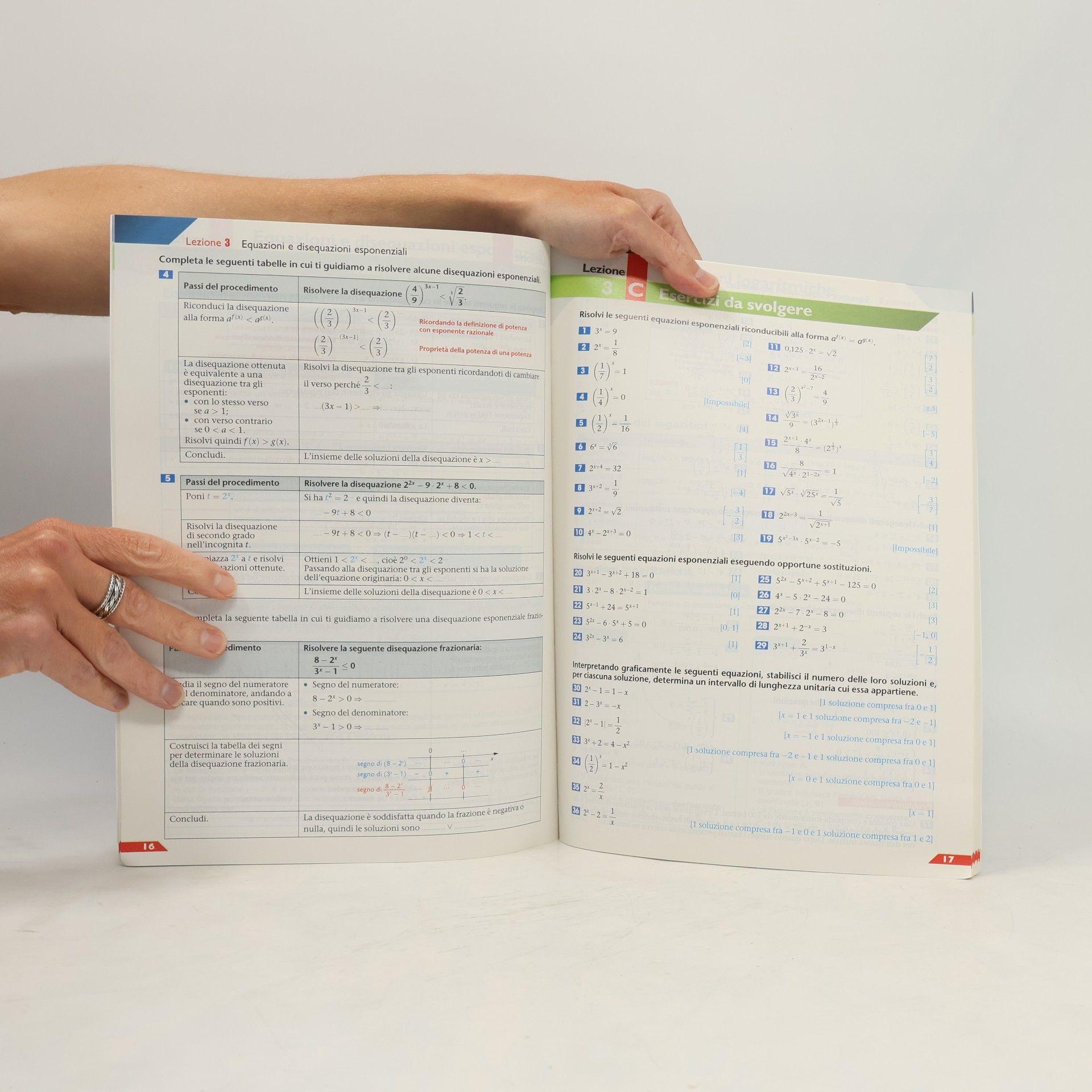 Leonardo Sasso Colori della matematica