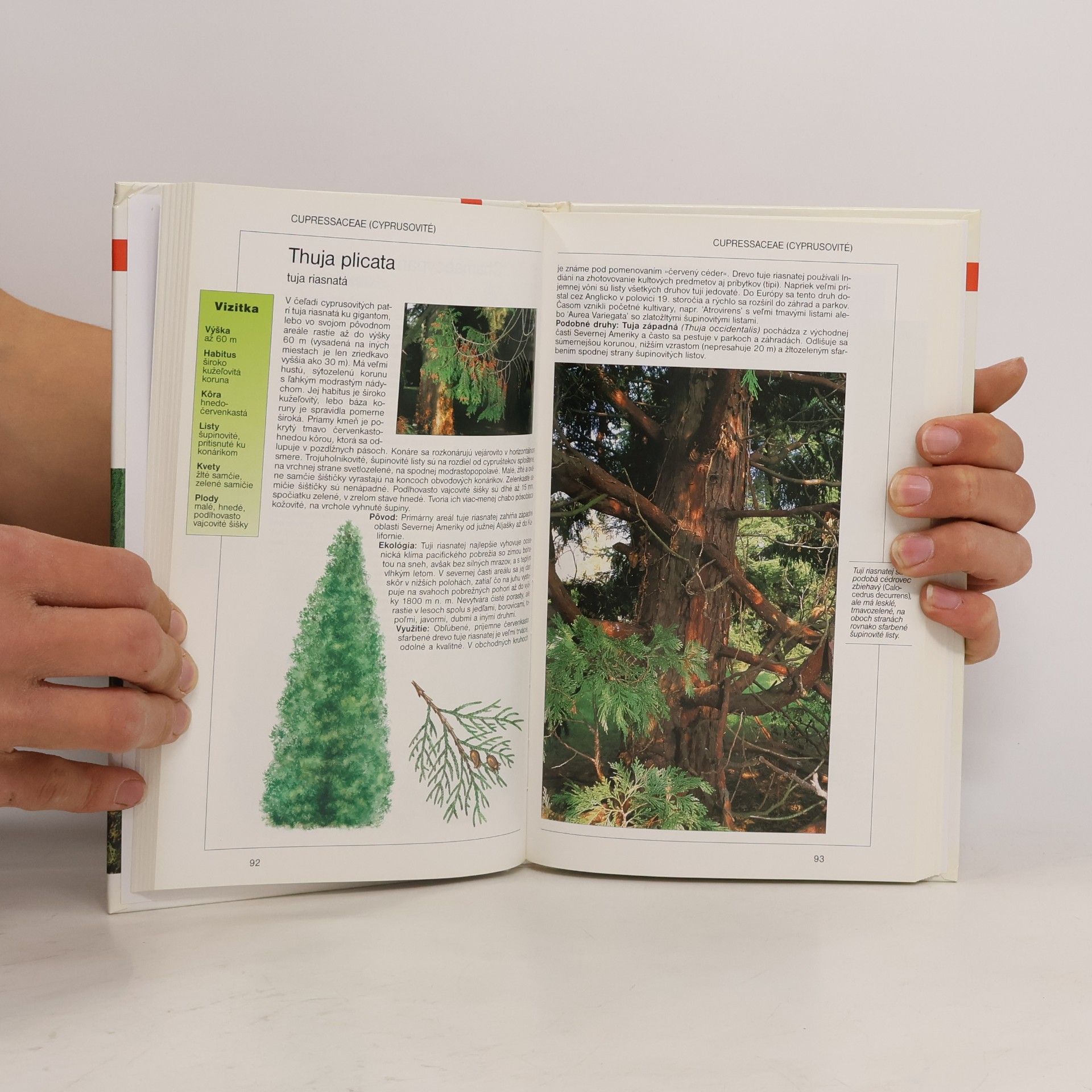 Autores varios Stromy v záhradách, v parkoch a vo voľnej prírode