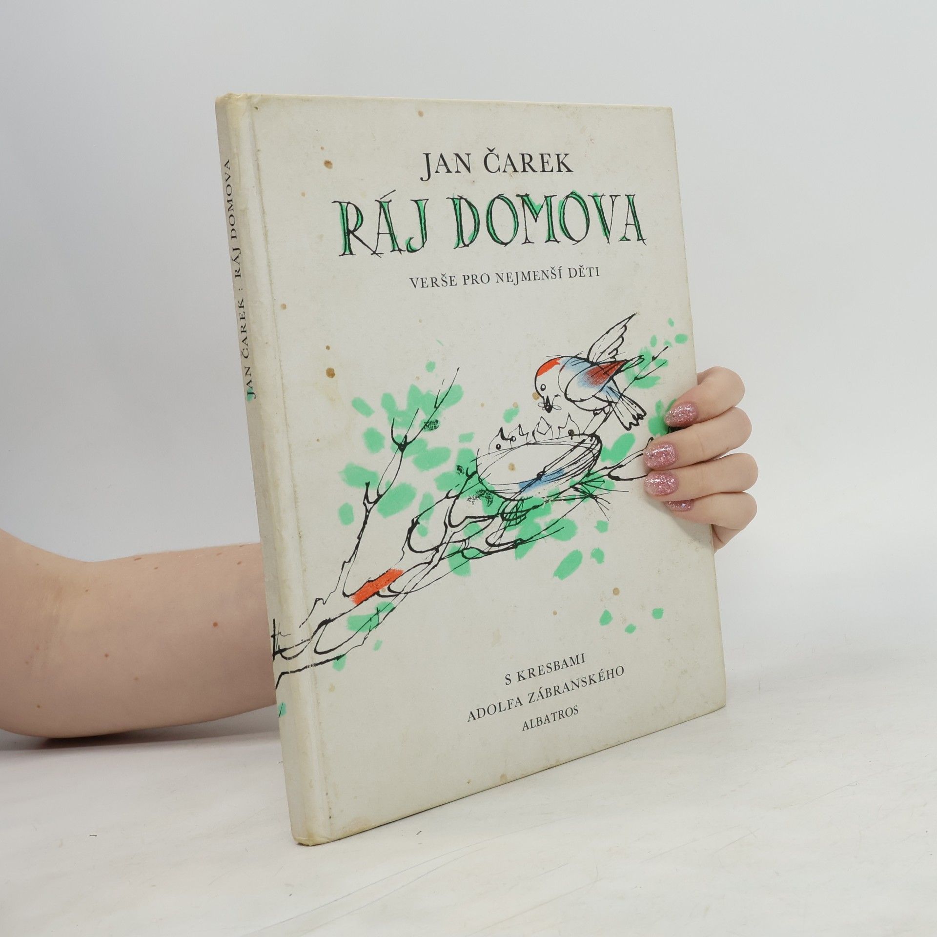 Jan Čarek Ráj domova