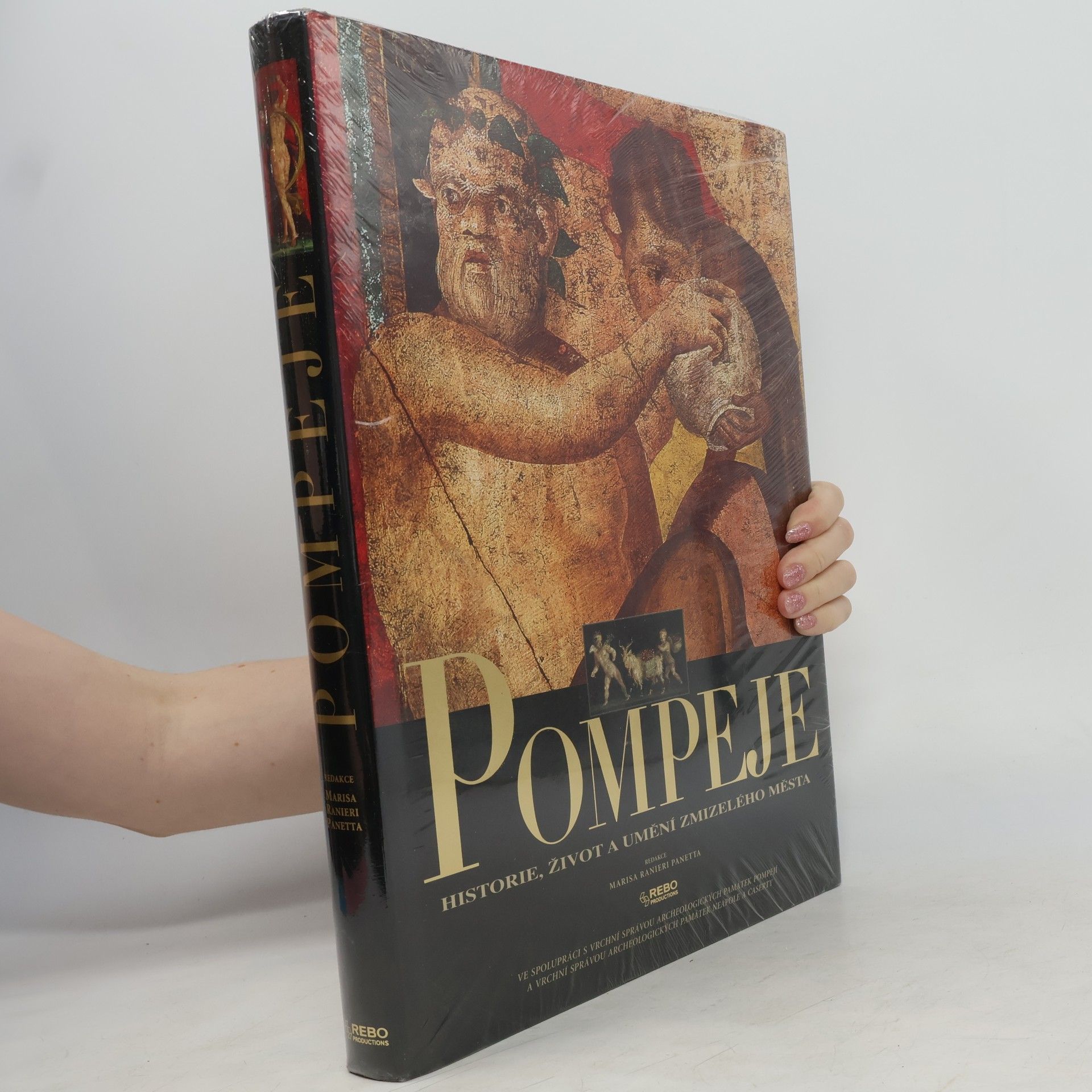 Pompeje: Historie, život a umění zmizelého města
