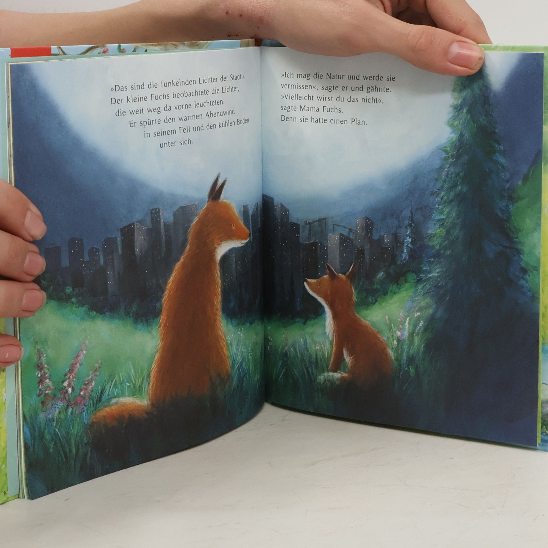 Sean Julian Komm mit, kleiner Fuchs