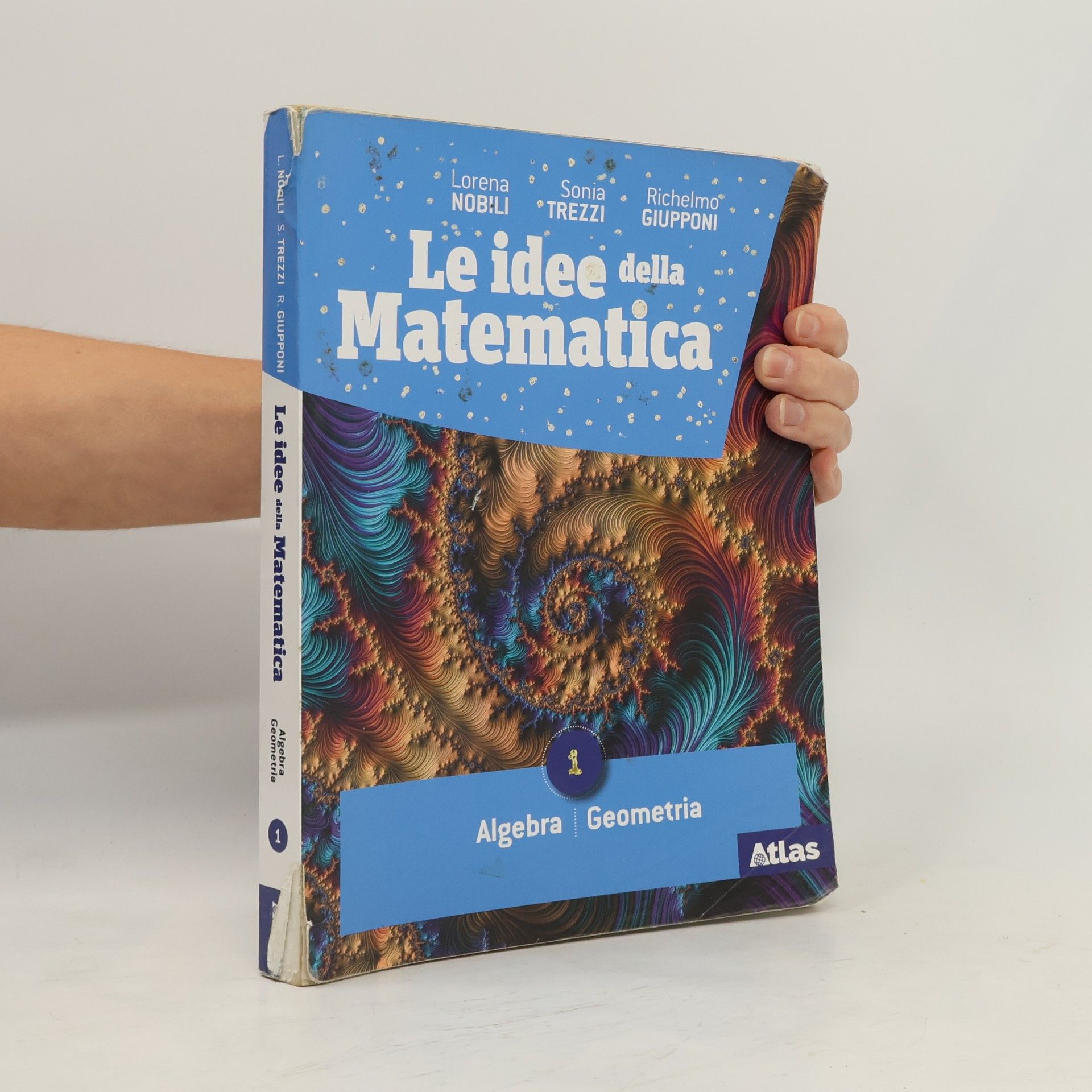 Le idee della Matematica 1