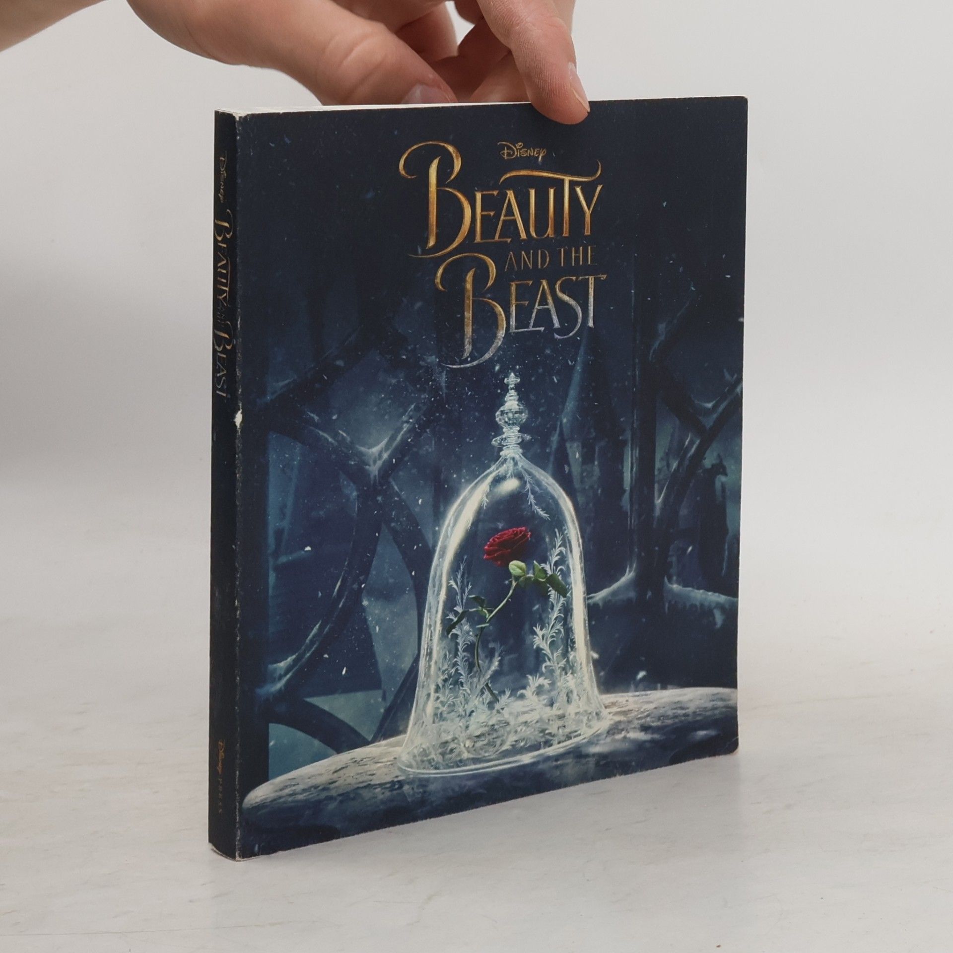 Kolektiv autorů Beauty and the beast
