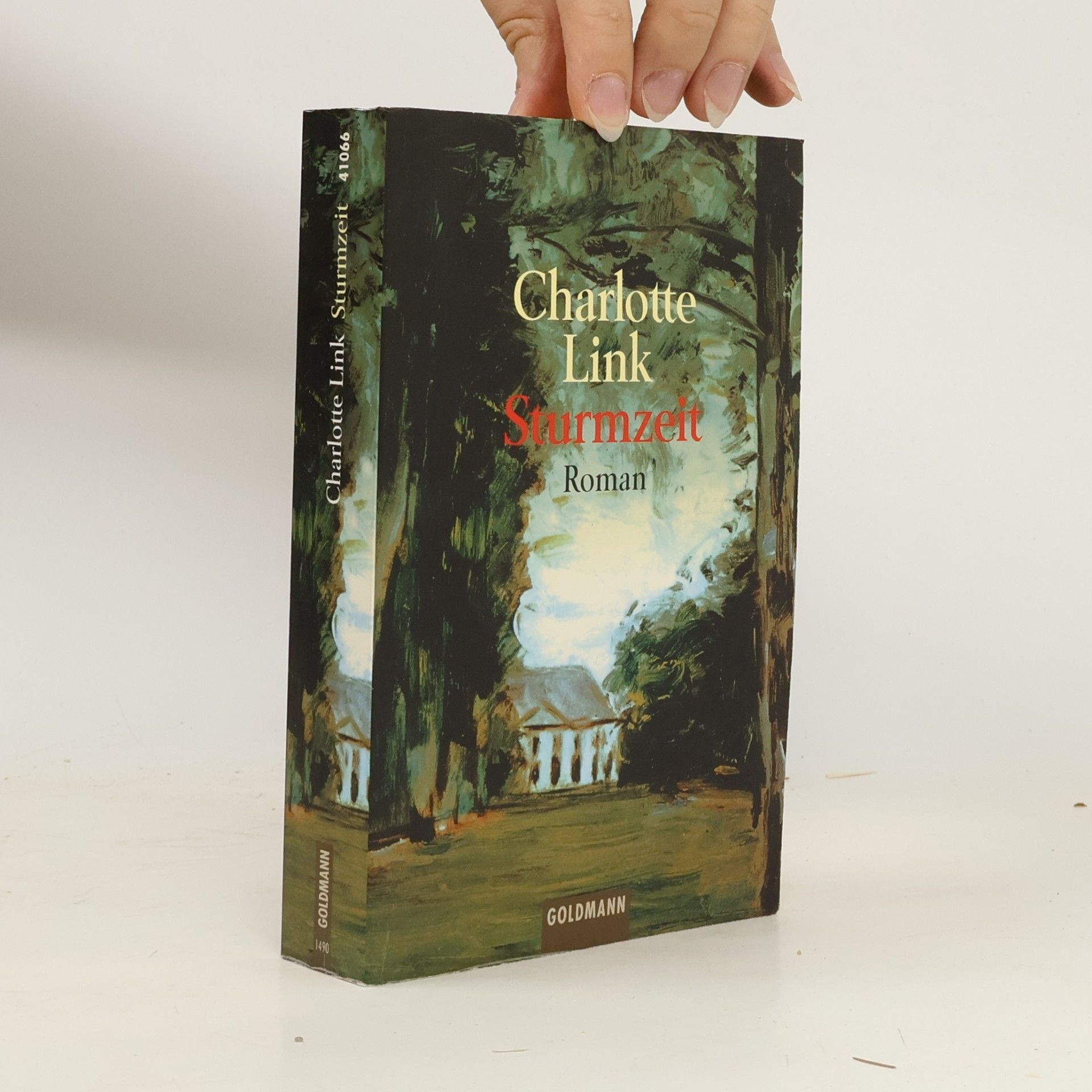 Charlotte Link Sturmzeit