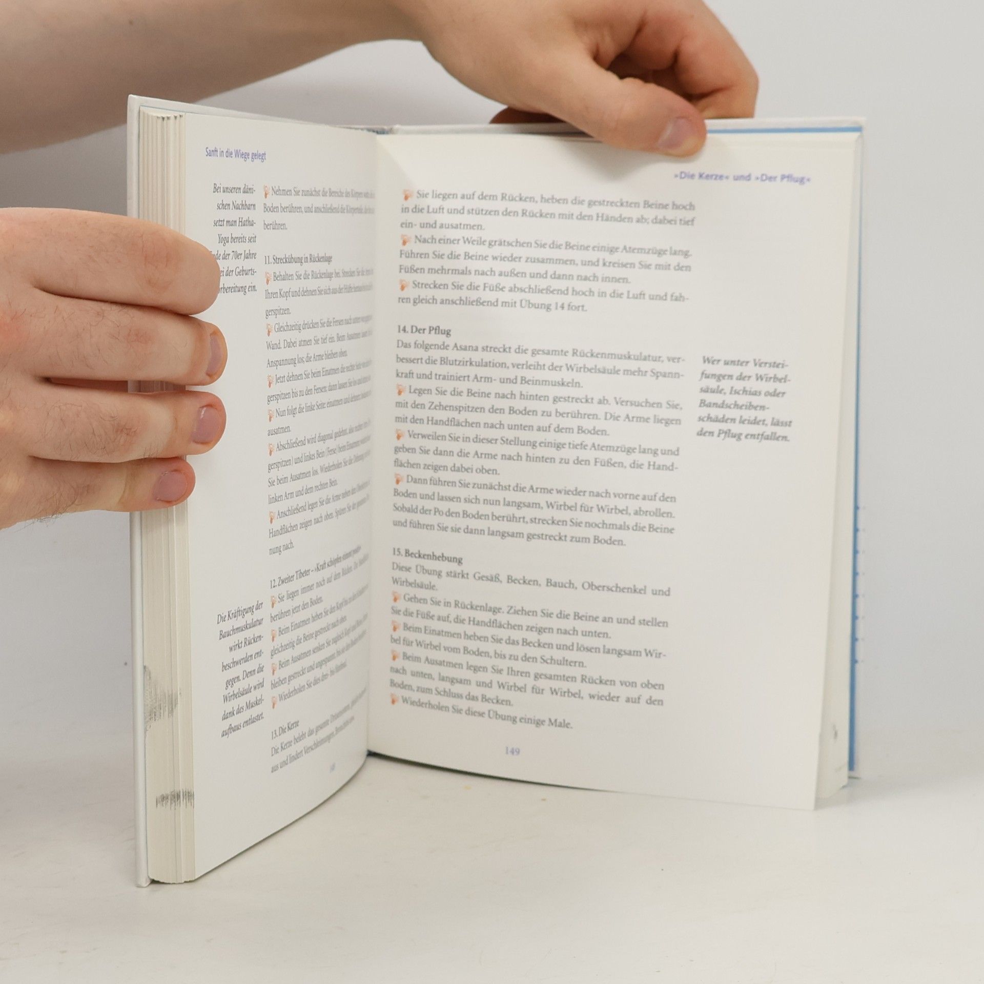 Birgit Frohn Das Buch vom Kinderkriegen