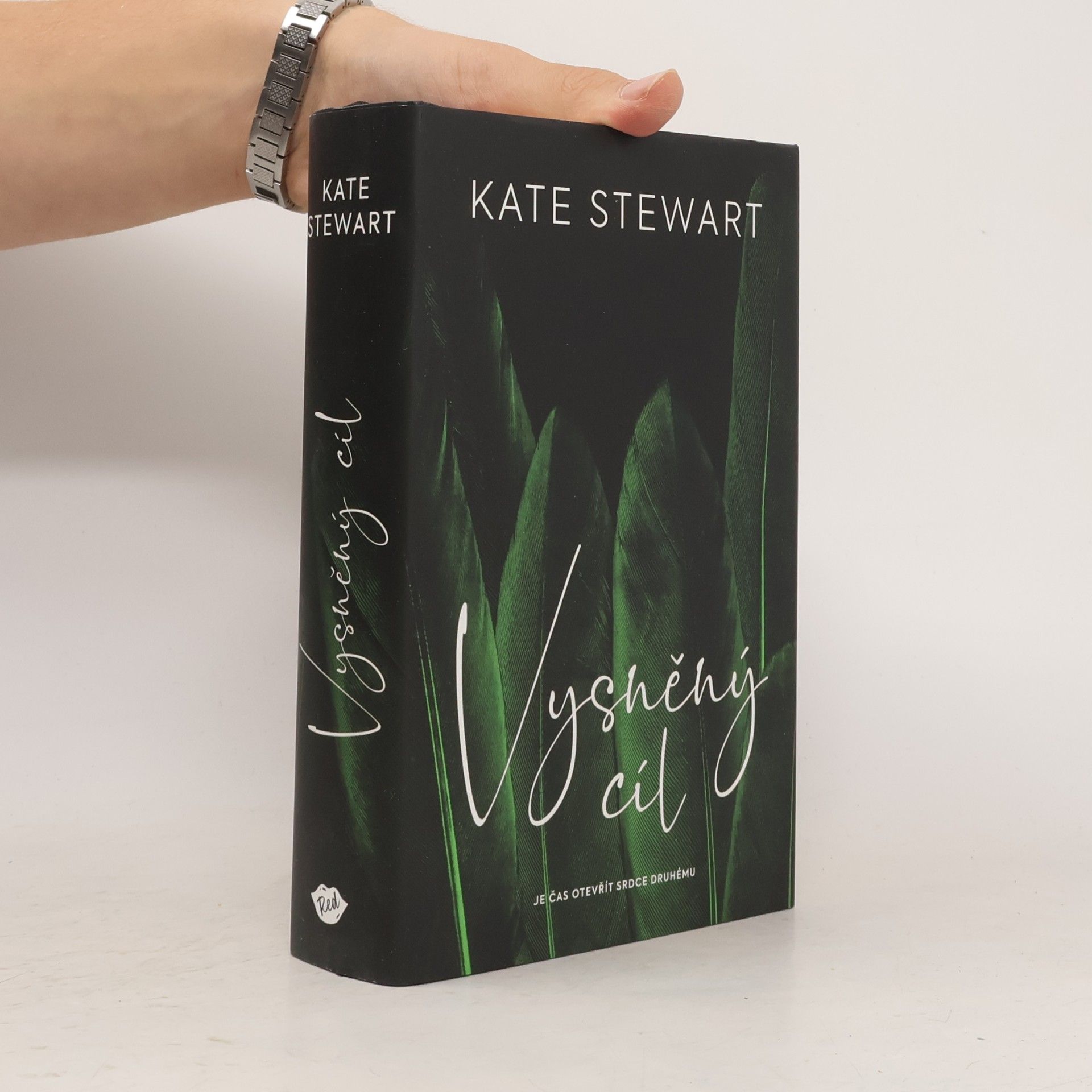 Kate Stewart Vysněný cíl. Kniha třetí