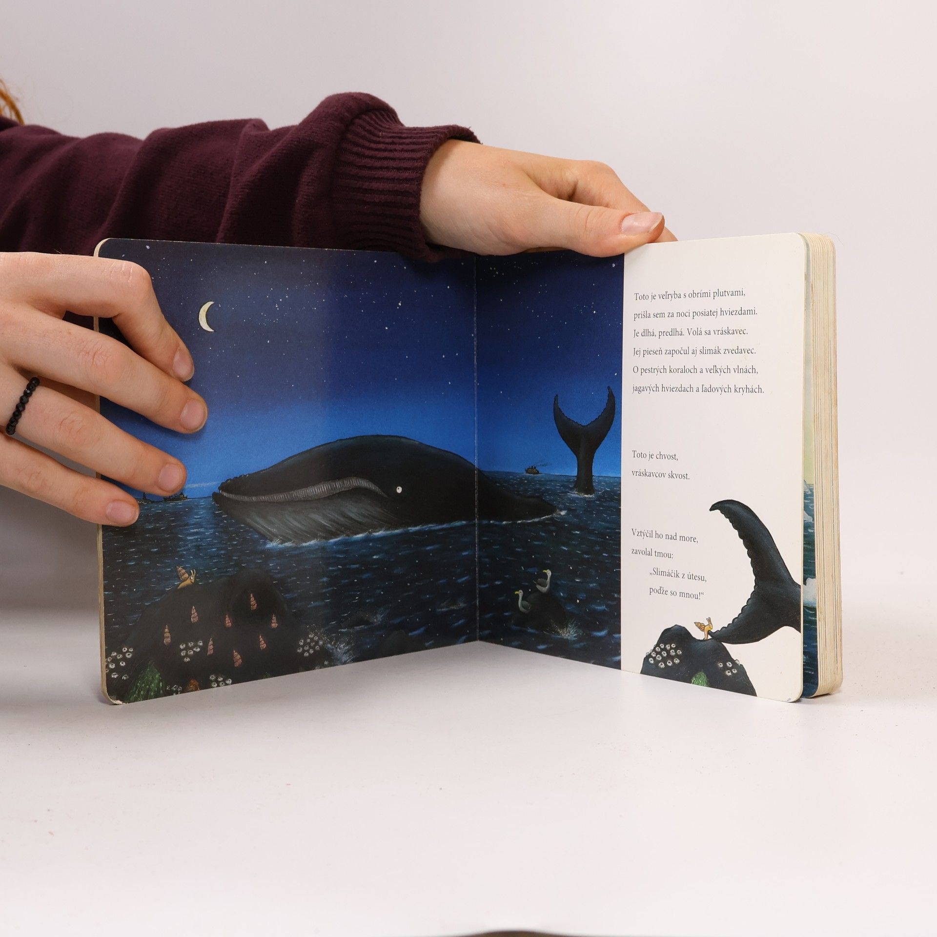 Julia Donaldson Slimáčik a veľryba