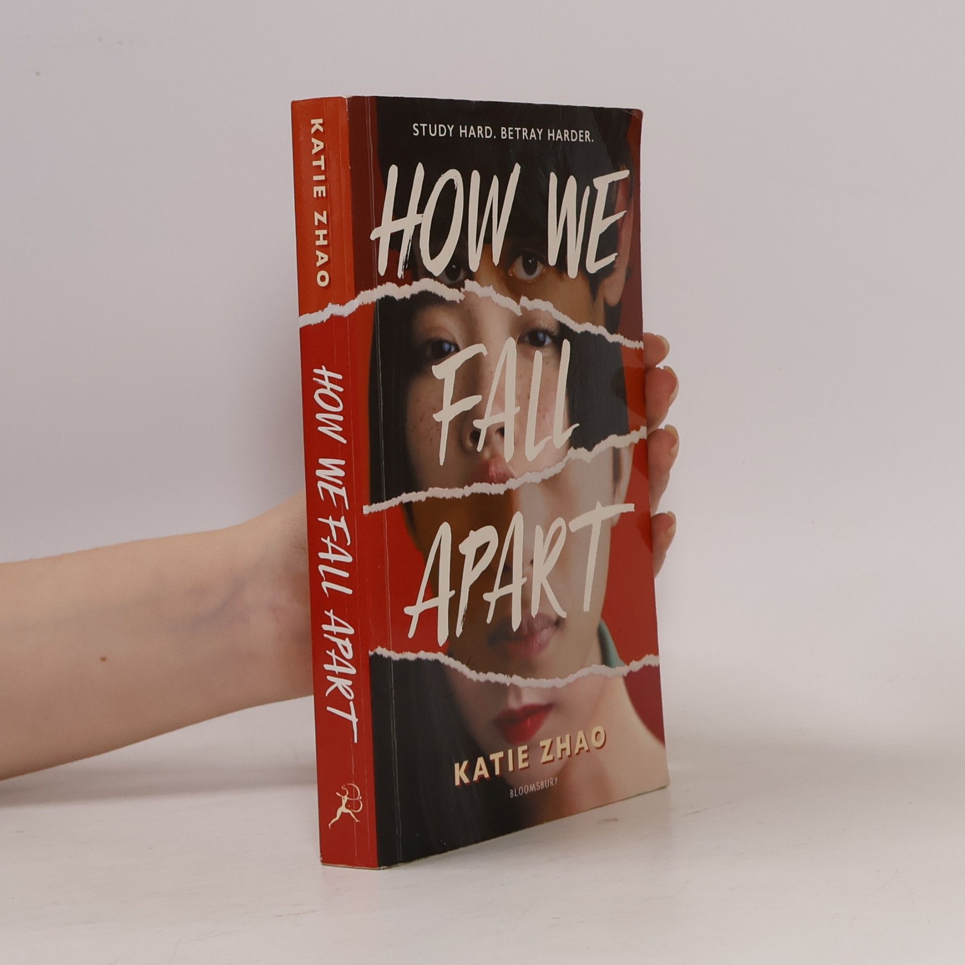 Katie Zhao How We Fall Apart