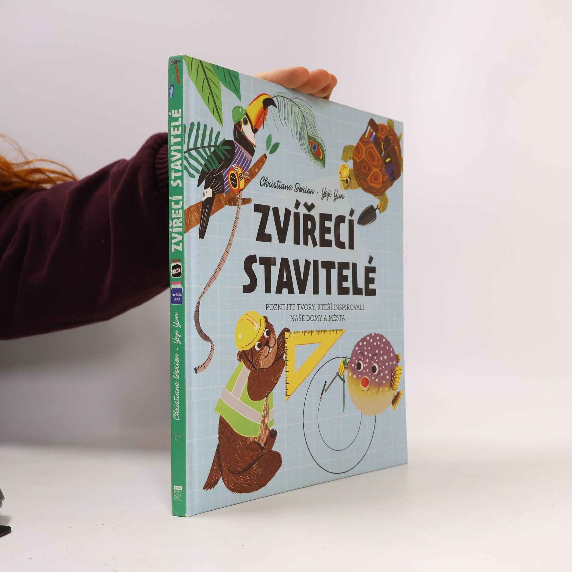 Zvířecí stavitelé - Poznejte tvory, kteří inspirovali naše domy a města