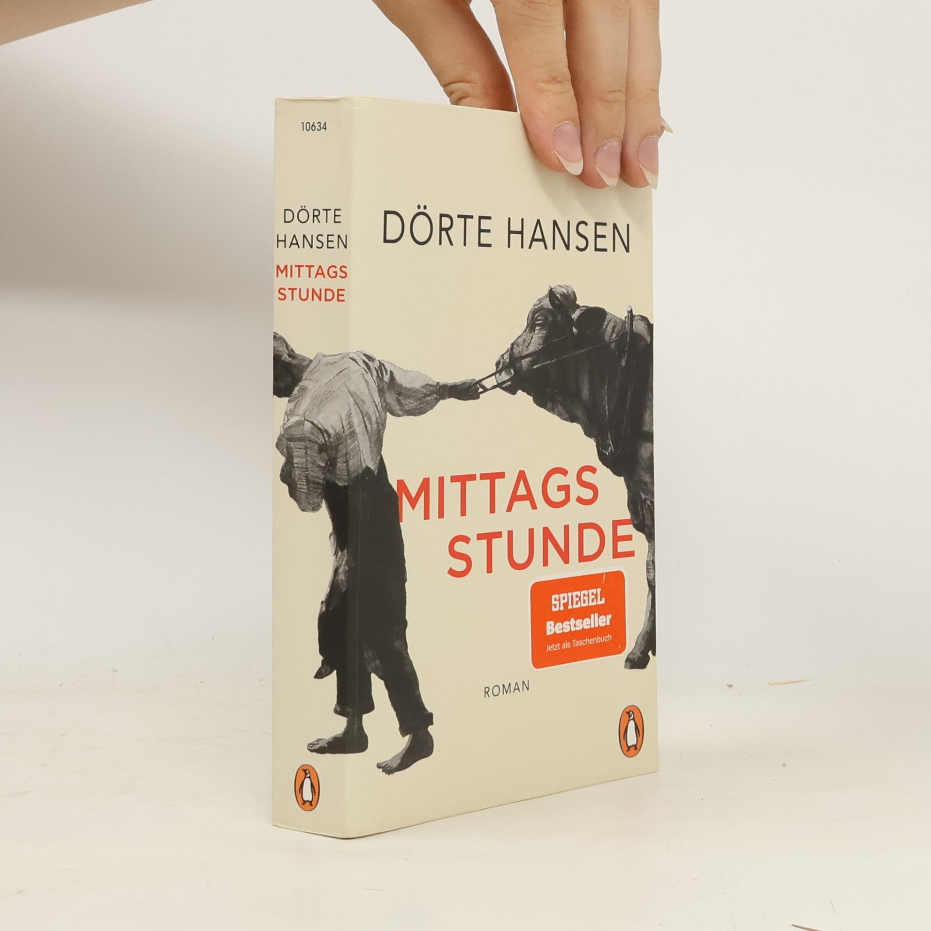 Dörte Hansen Mittagsstunde