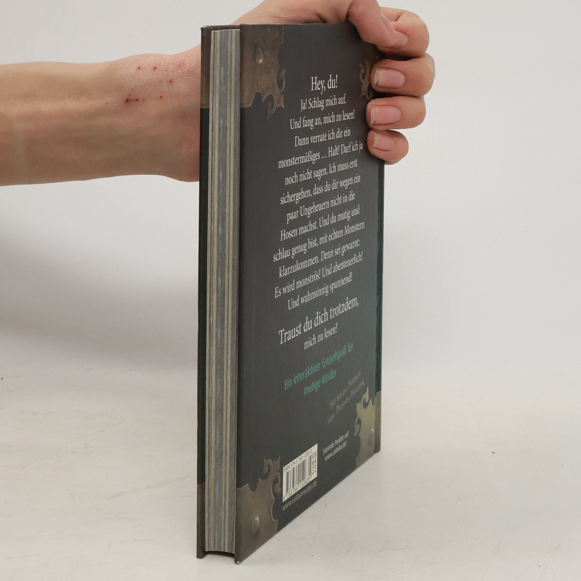 Magnnus Myst Das kleine Böse Buch 6 (Das kleine Böse Buch, Bd. 6)