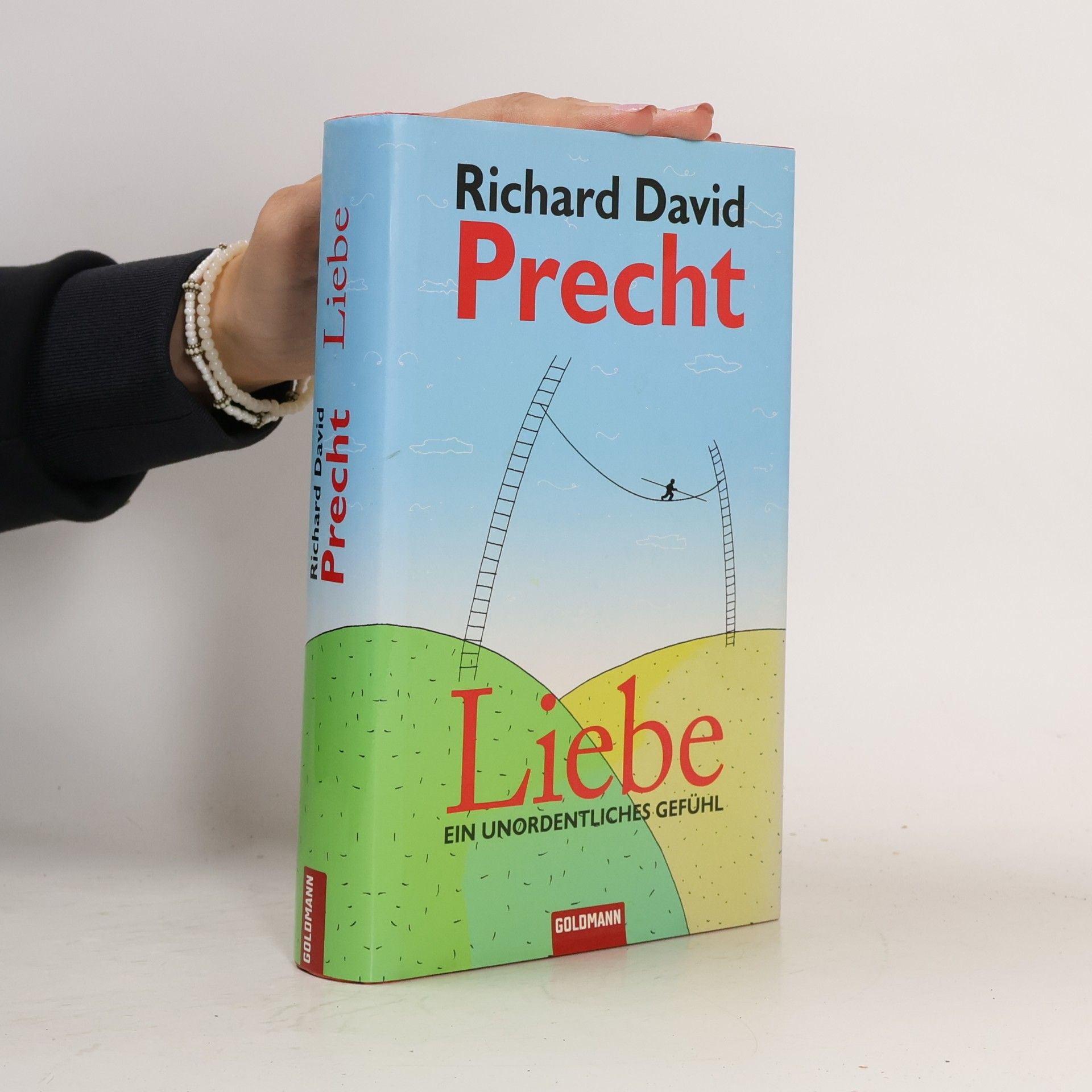 Richard David Precht Liebe ein Unordentliches Gefühl