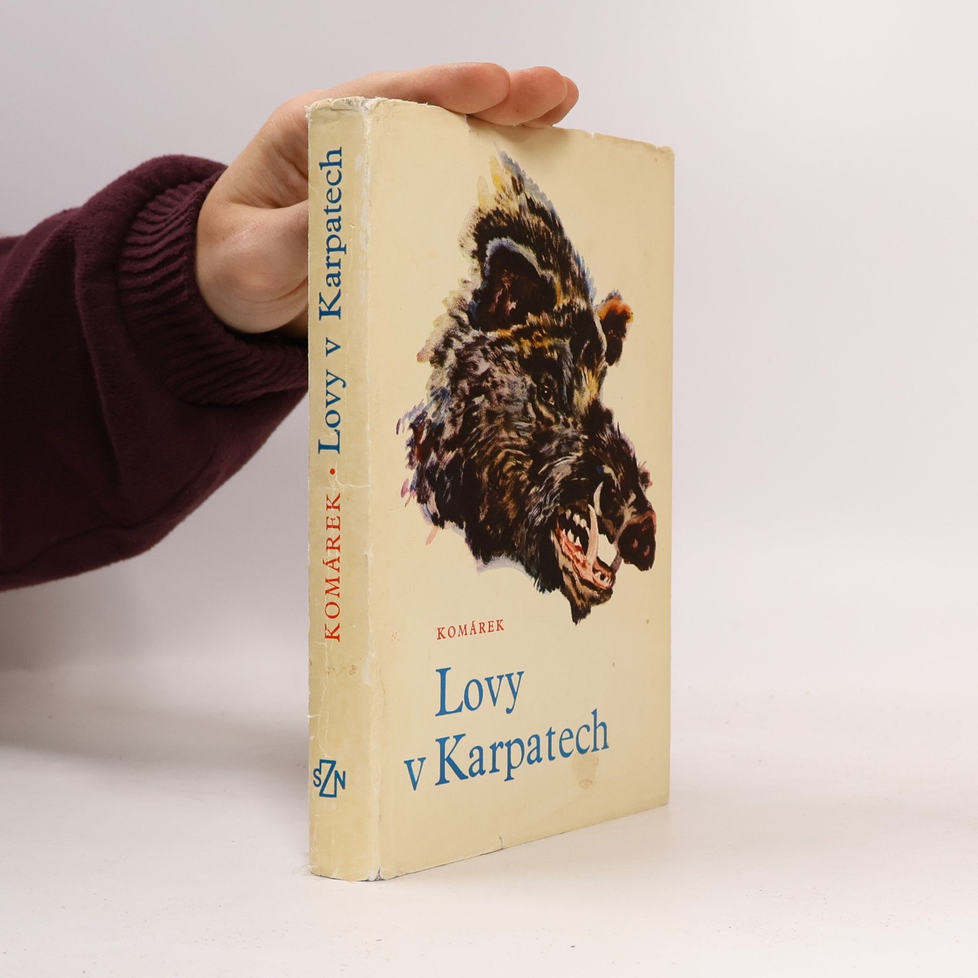 Julius Komárek Lovy v Karpatech