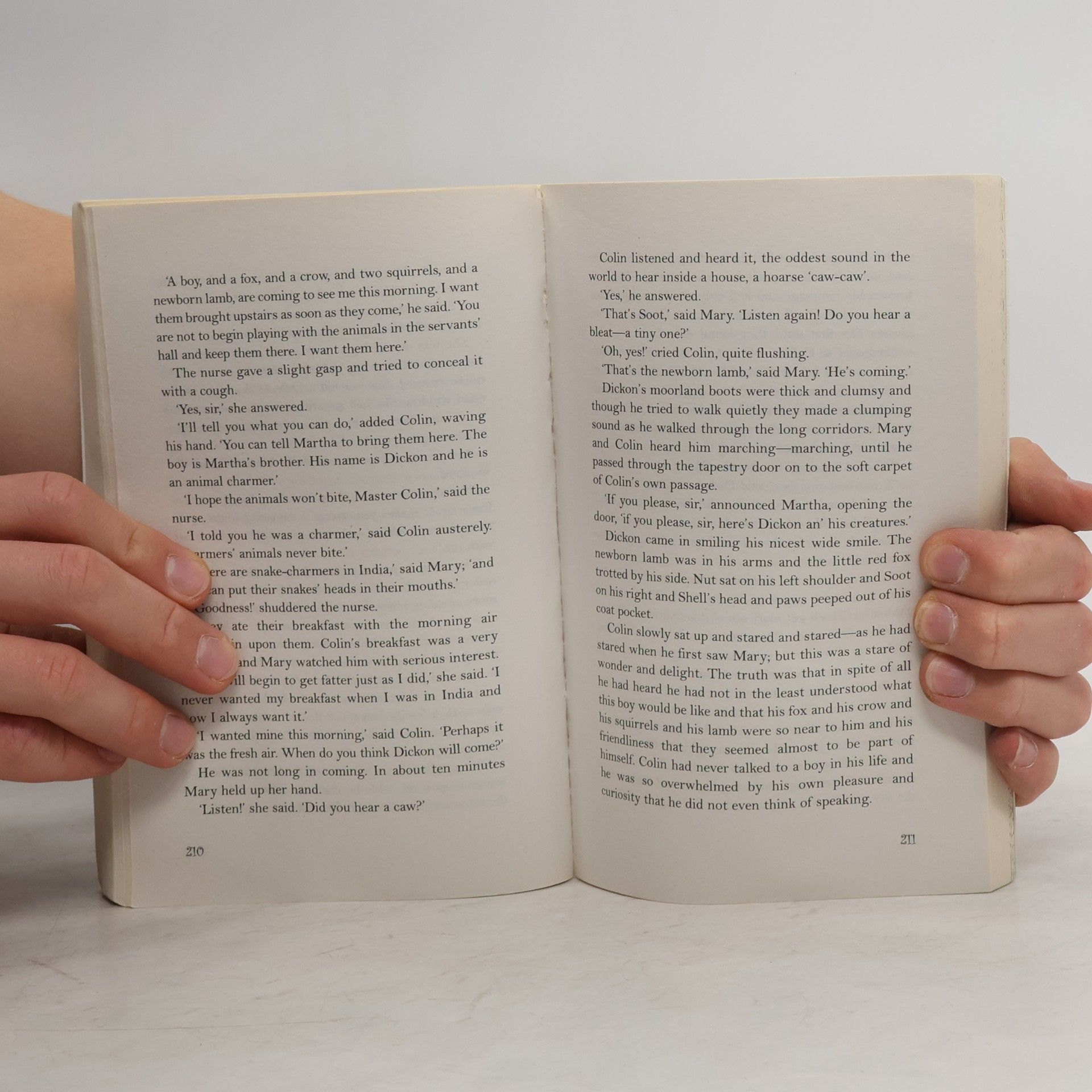 Mark Twain The Adventures of Tom Sawyer