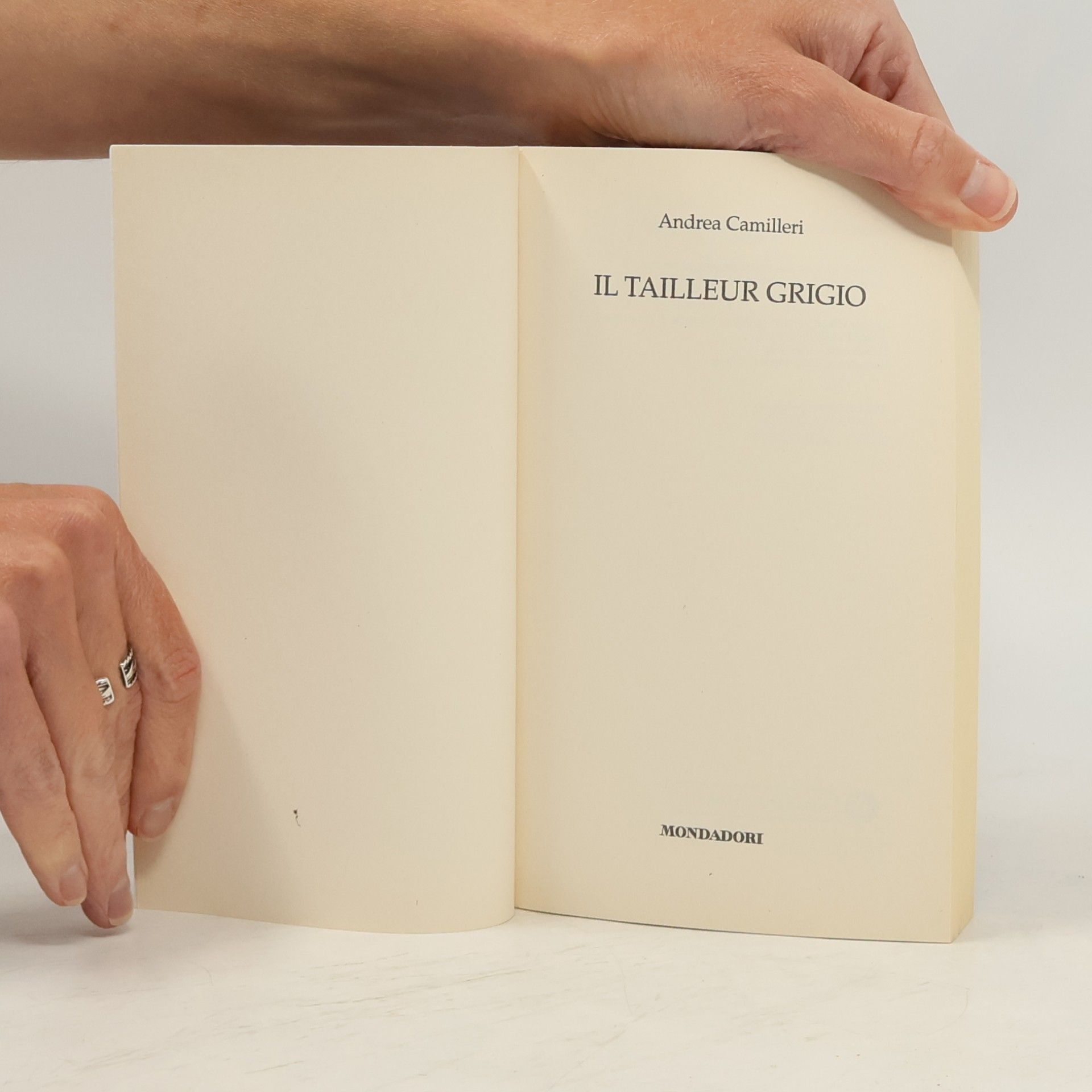 Andrea Camilleri Il tailleur grigio