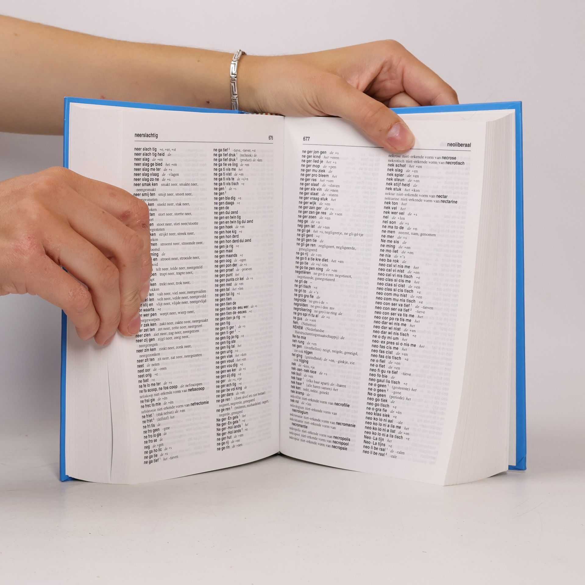 Anneke Neijt Wolters' woordenboeken: De nieuwe spellinggids van de Nederlandse taal