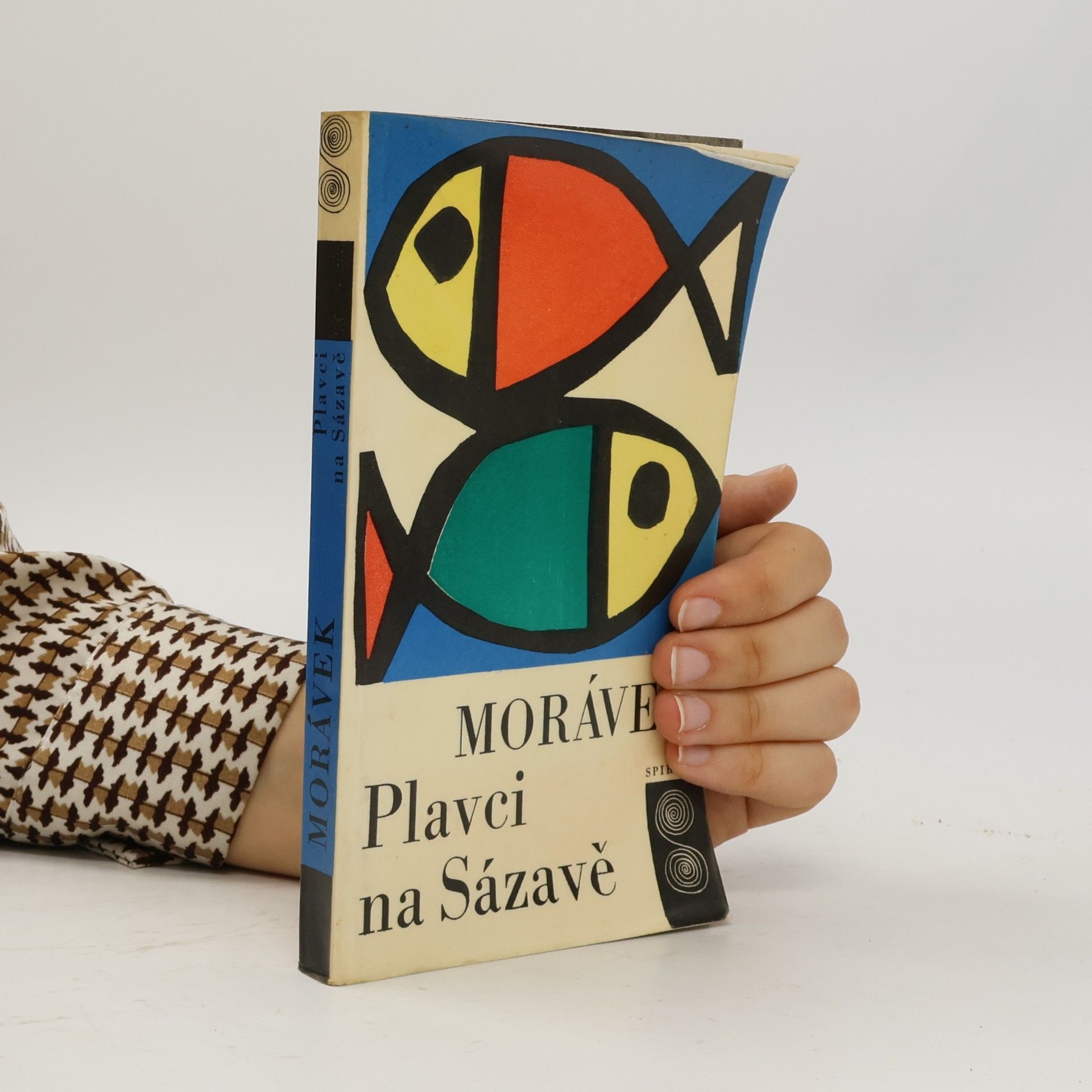 Jan Morávek Plavci na Sázavě
