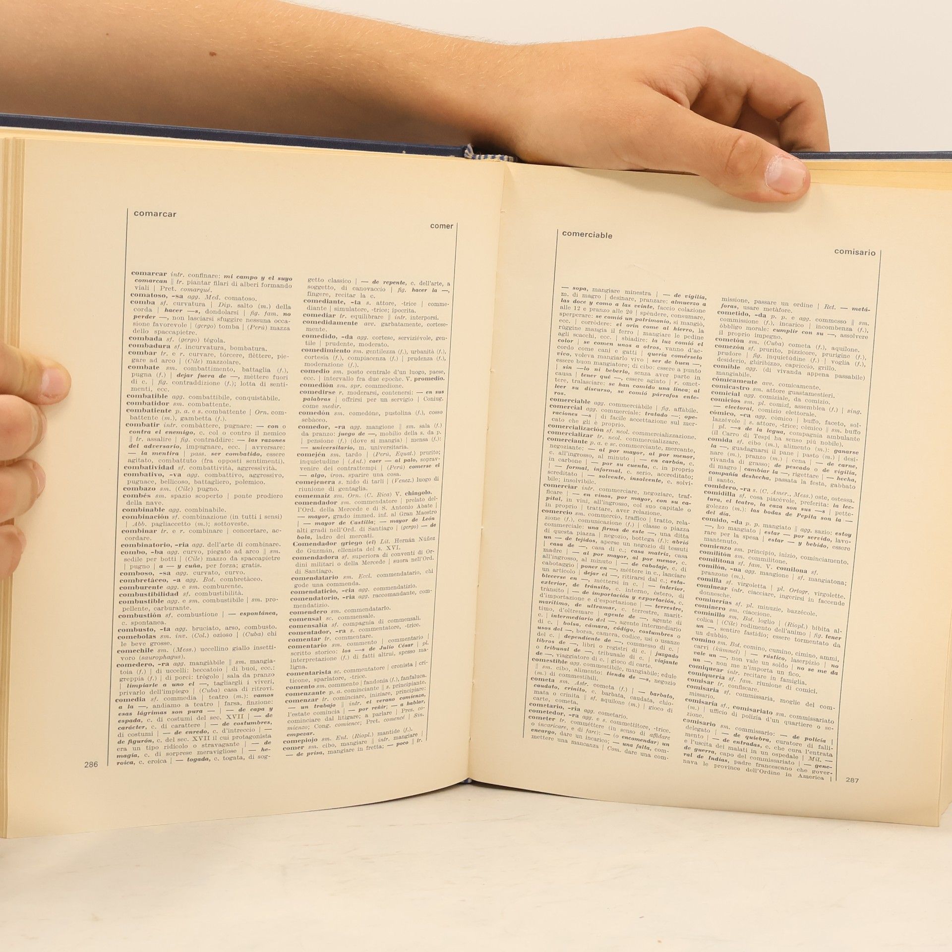 Kolektiv autorů Dizionario. Spagnolo-italiano