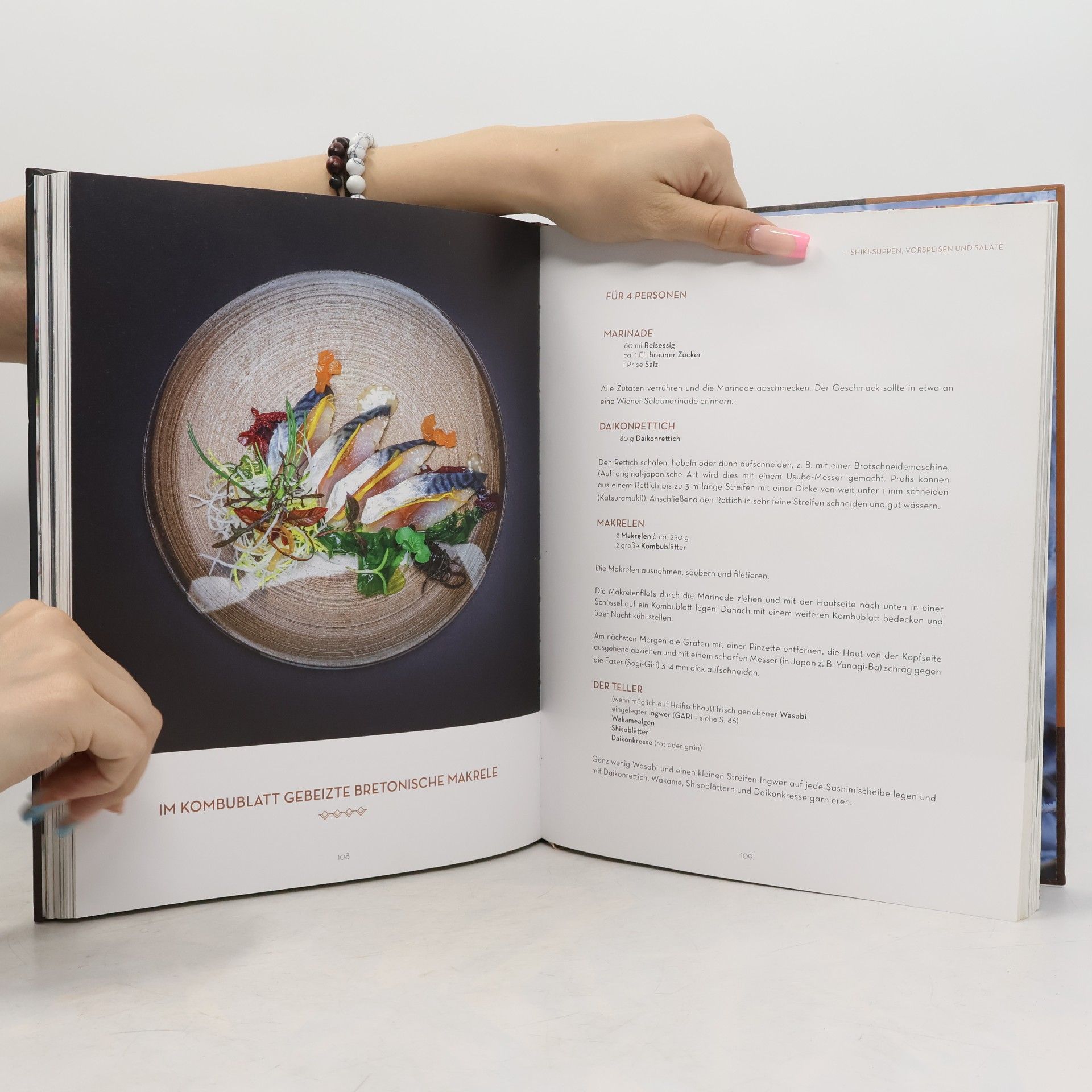 Joji Hattori The Art of Shiki