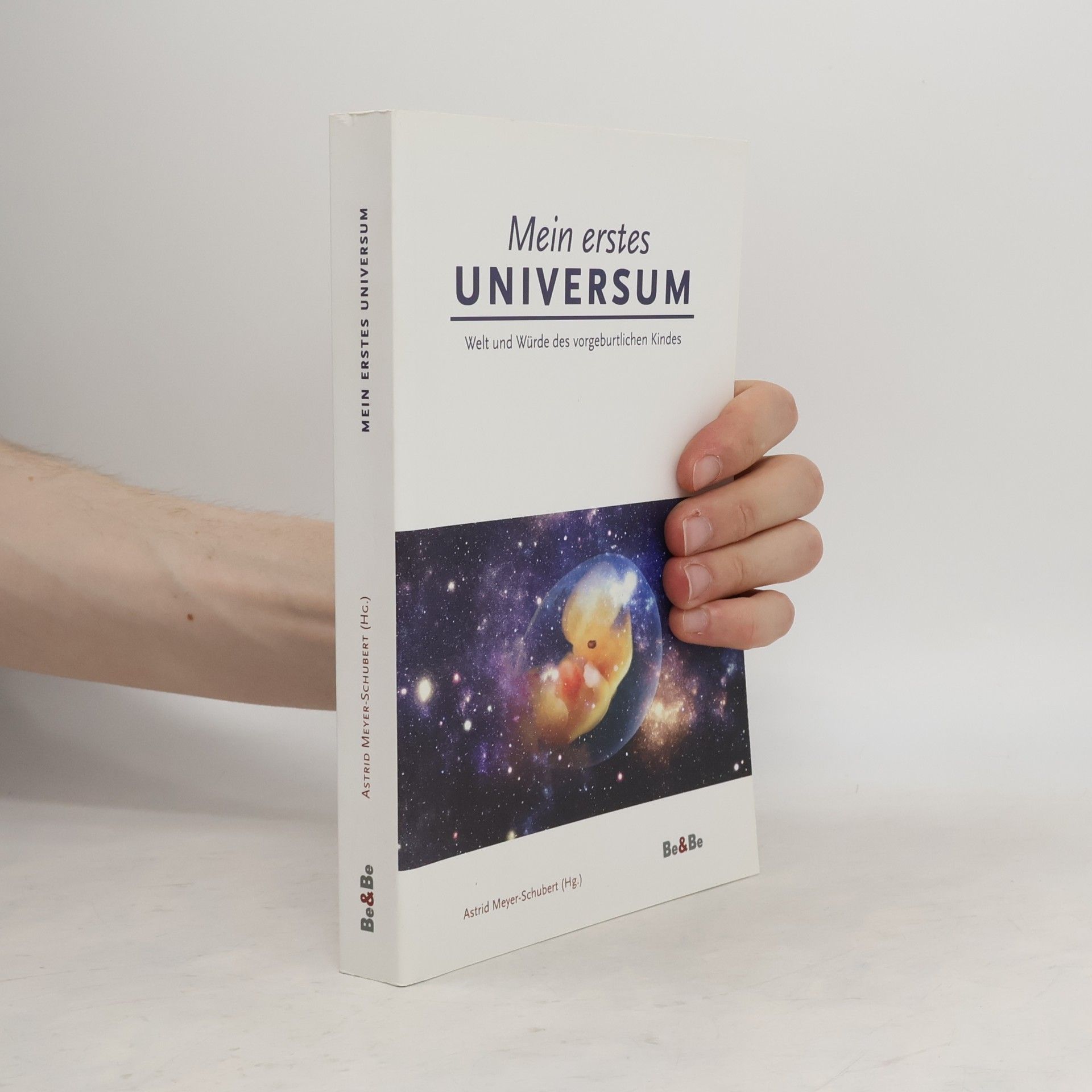 Astrid Meyer-Schubert Mein erstes Universum