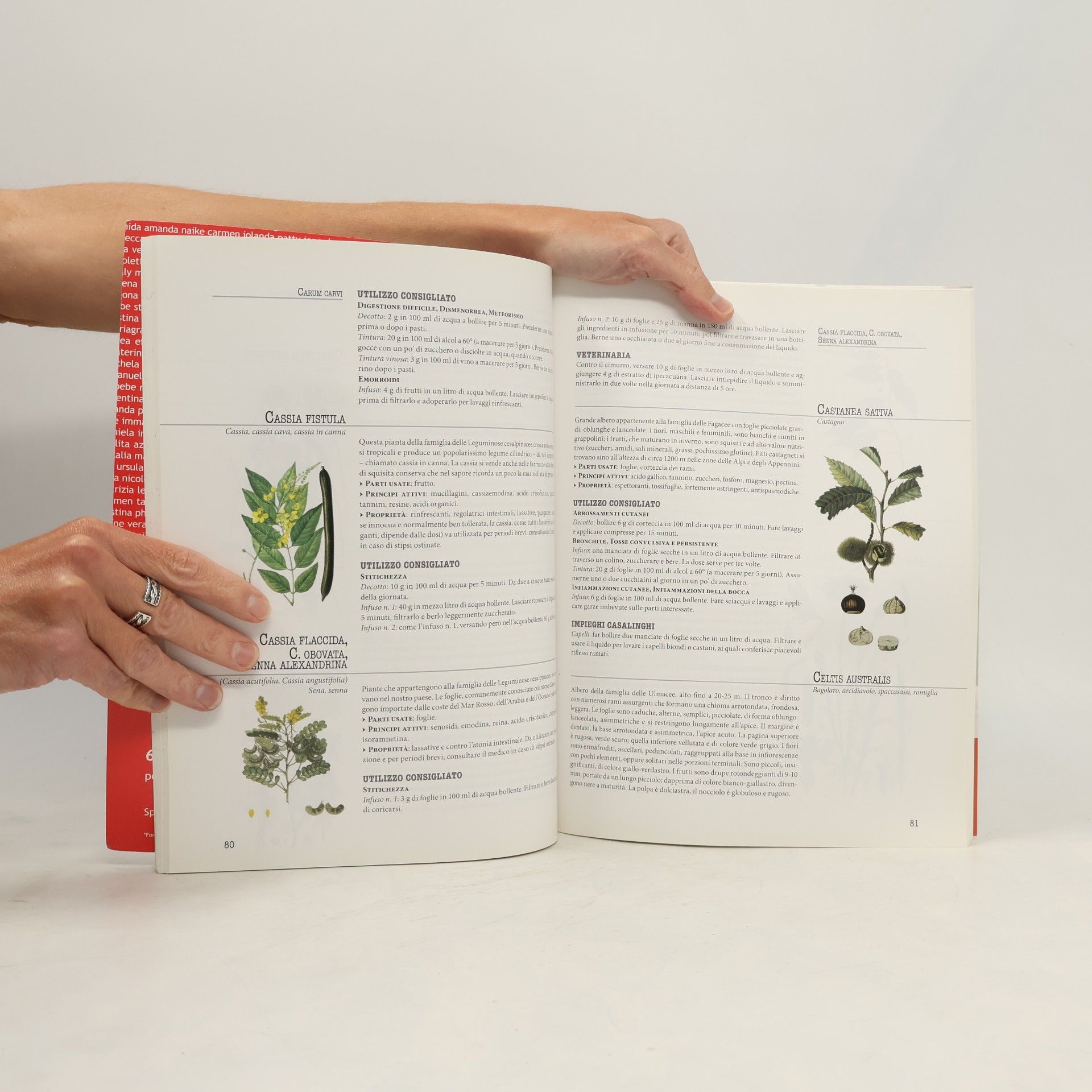 Tina Cecchini Enciclopedia delle Erbe Medicinali