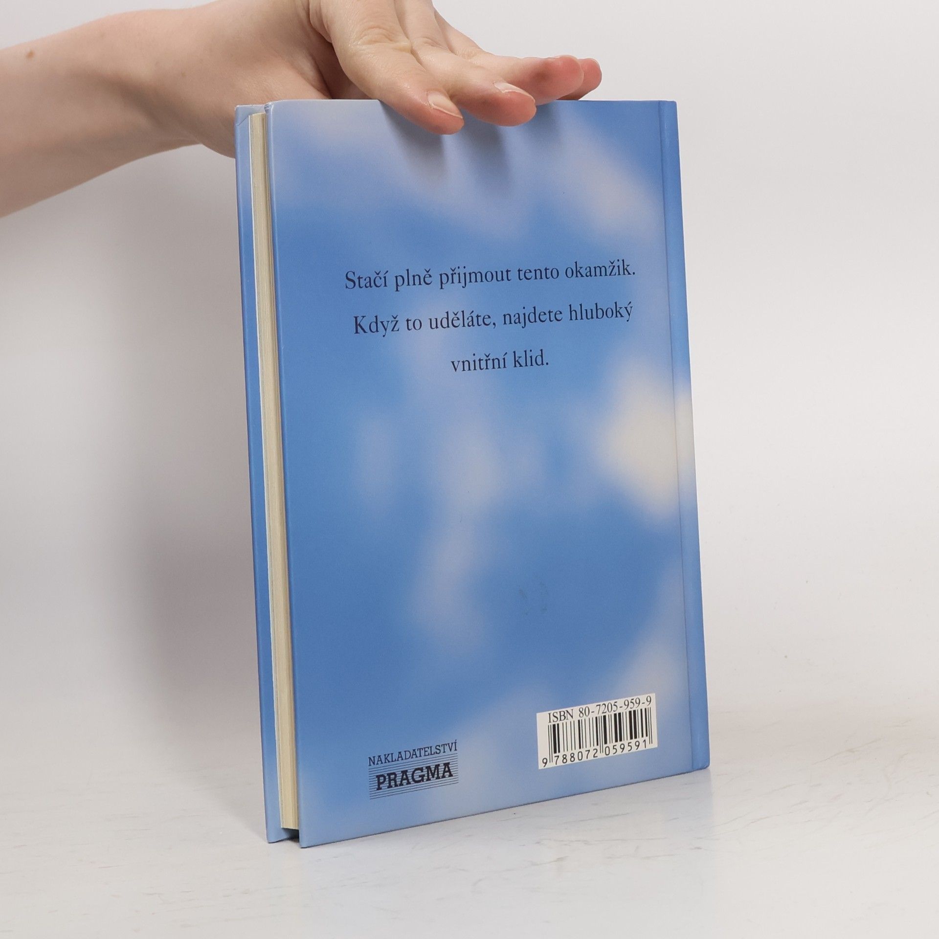 Eckhart Tolle Moc přítomného okamžiku. Pracovní kniha