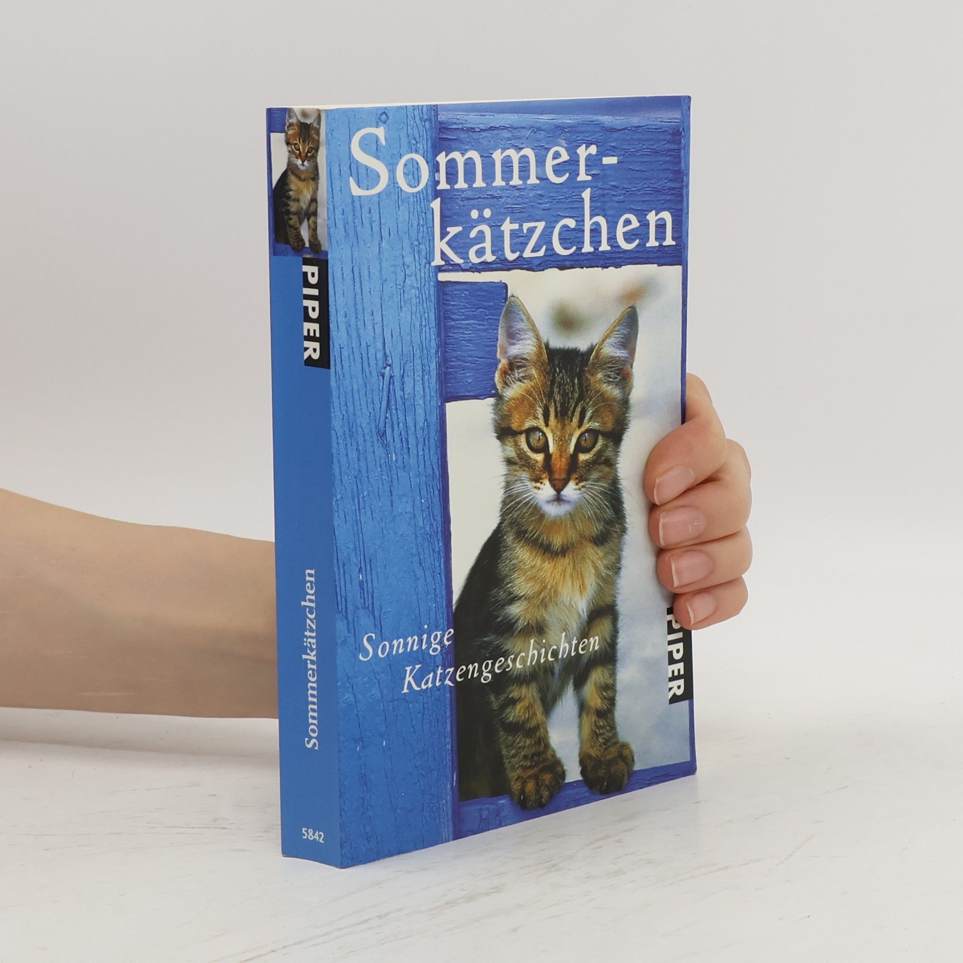 Jone Heer Sommerkätzchen