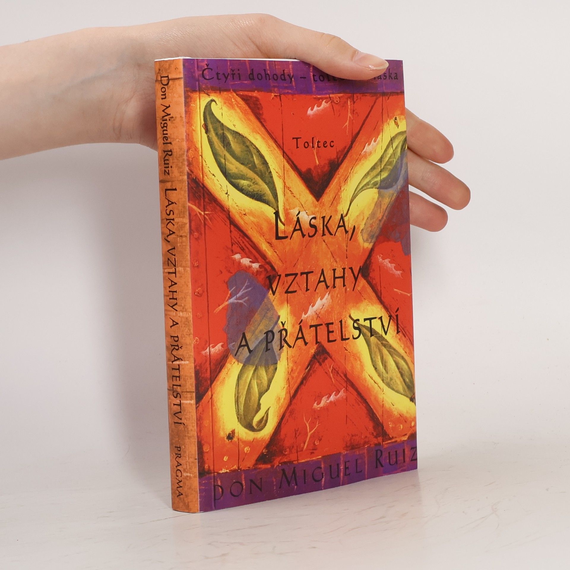 Don Miguel Ruiz Láska, vztahy a přátelství