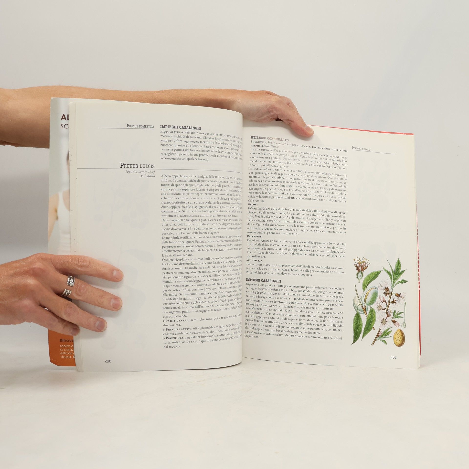 AA.VV. Enciclopedie delle Erbe Medicinali