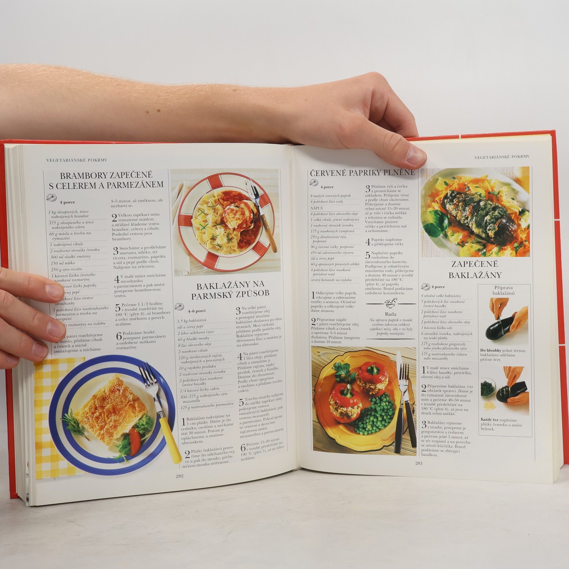 Mary Berry Velká rodinná kuchařka