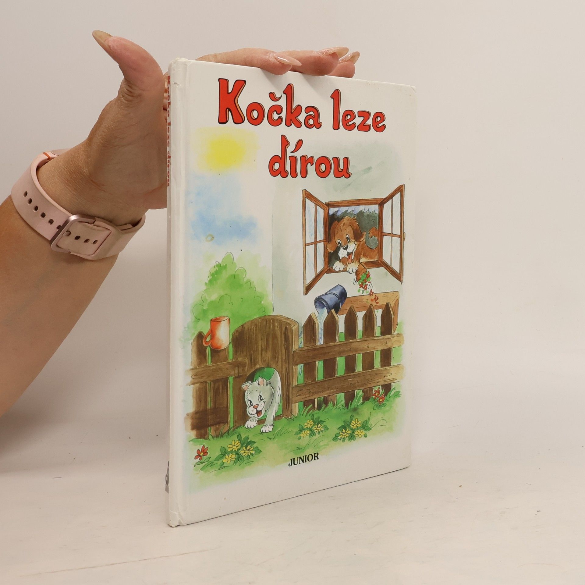 Vladimíra Vopičková Kočka leze dírou