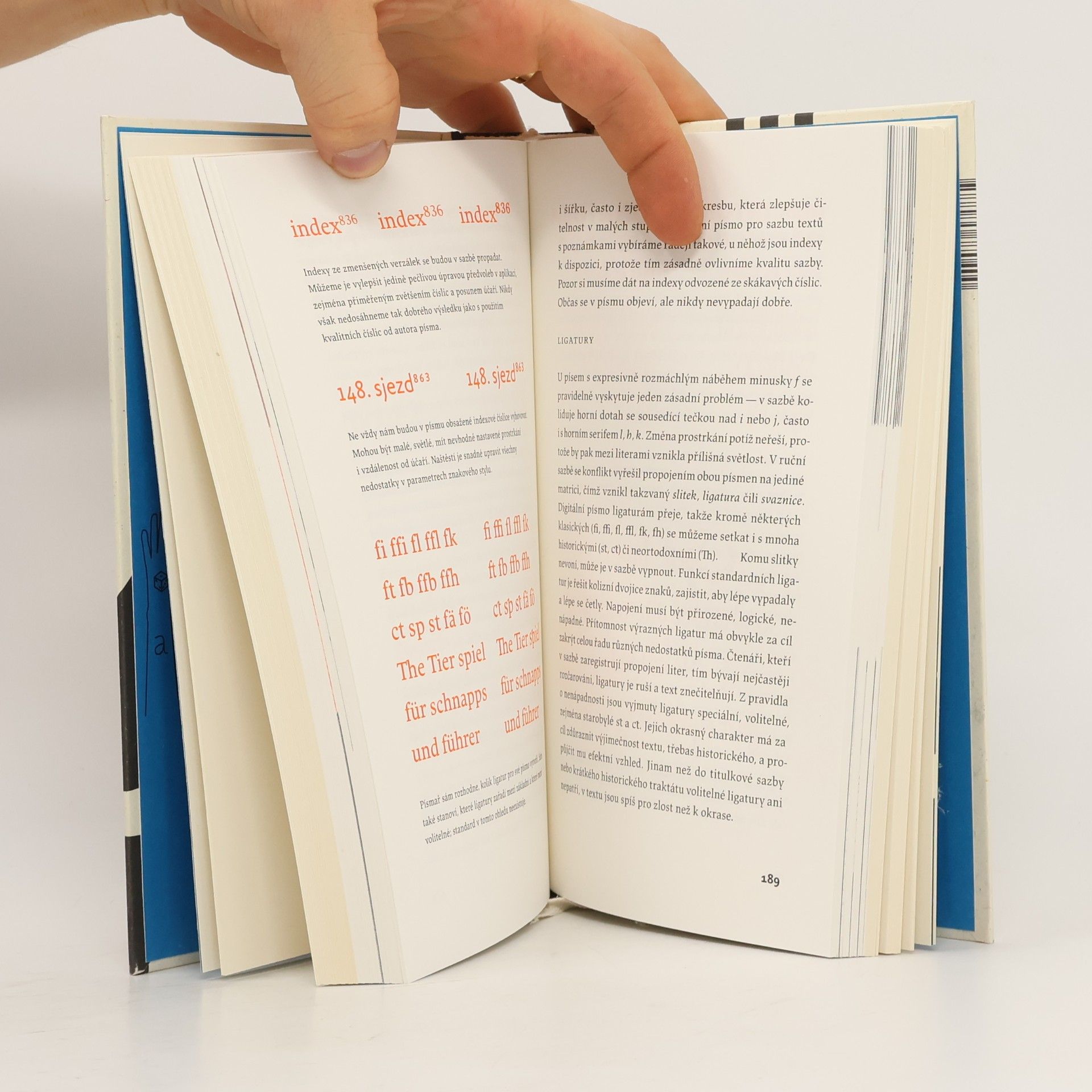 Martin Pecina Knihy a typografie