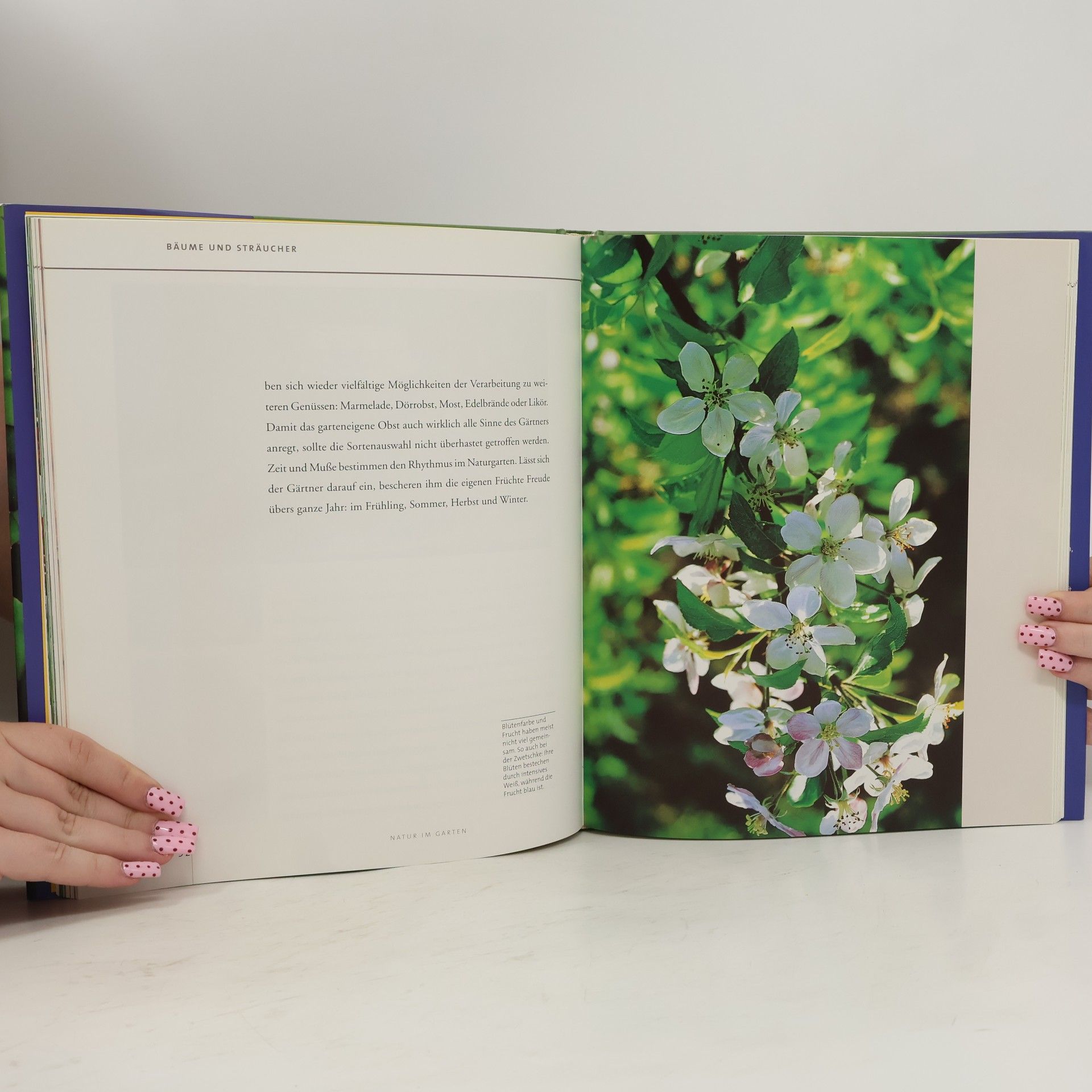 Theresa Dirtl Gartenlust