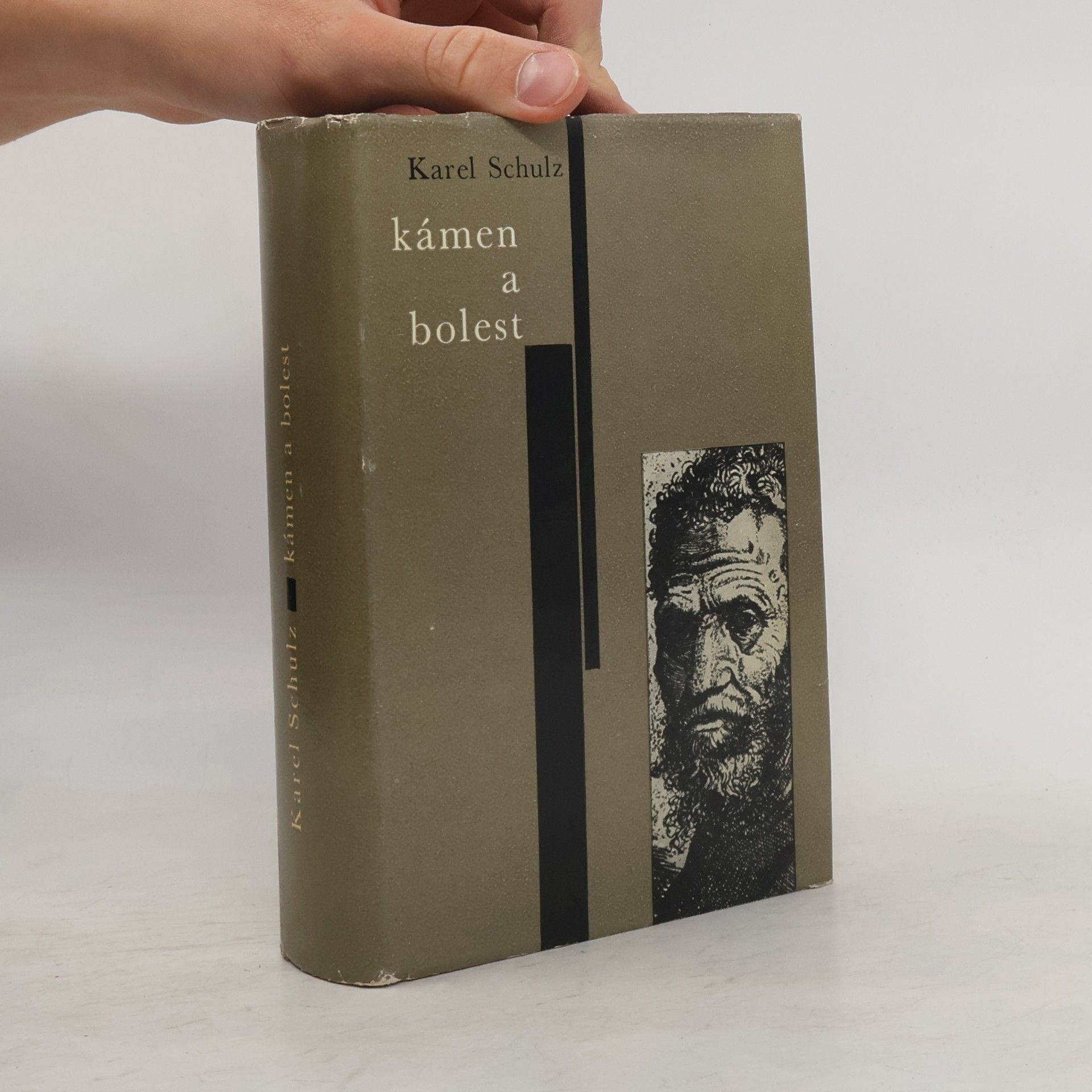 Karel Schulz Kámen a bolest